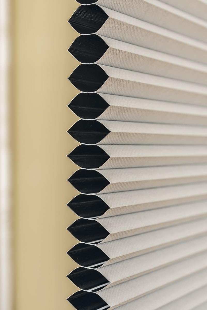 Blackout Top Down Bottom Up Cordless Cellular Shades - 62