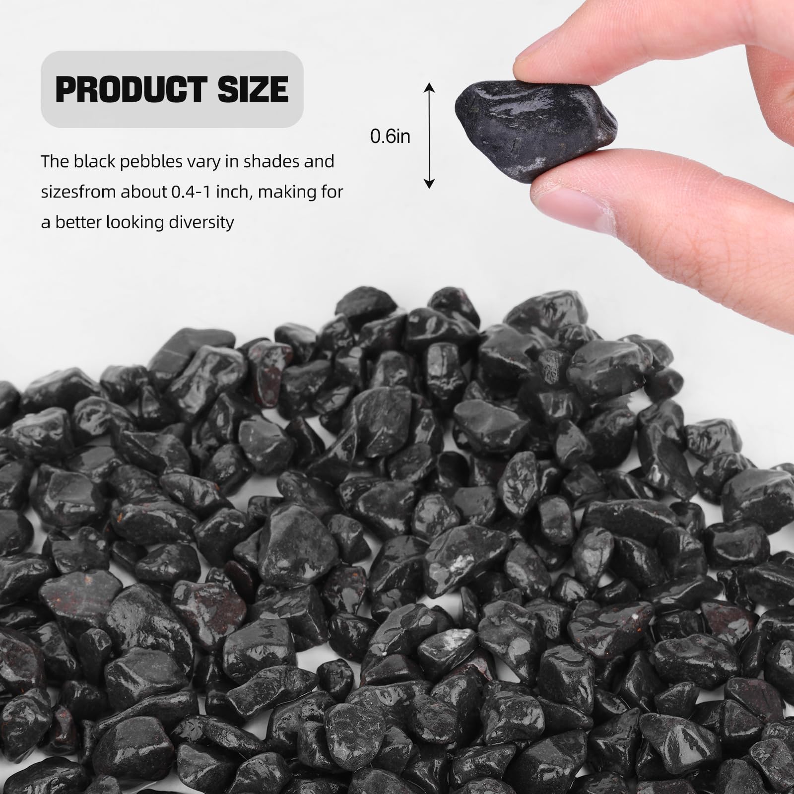 Natural Black River Rocks - 3/5 Inch Small Decorative Pebbles for Potted Plants, Succulents, Cactus, Aquariums, Fish Tanks, Vases & Terrariums (1 LB) - Perfect for Indoor Plant Decor, Zen Gardens & DIY Landscaping Projects