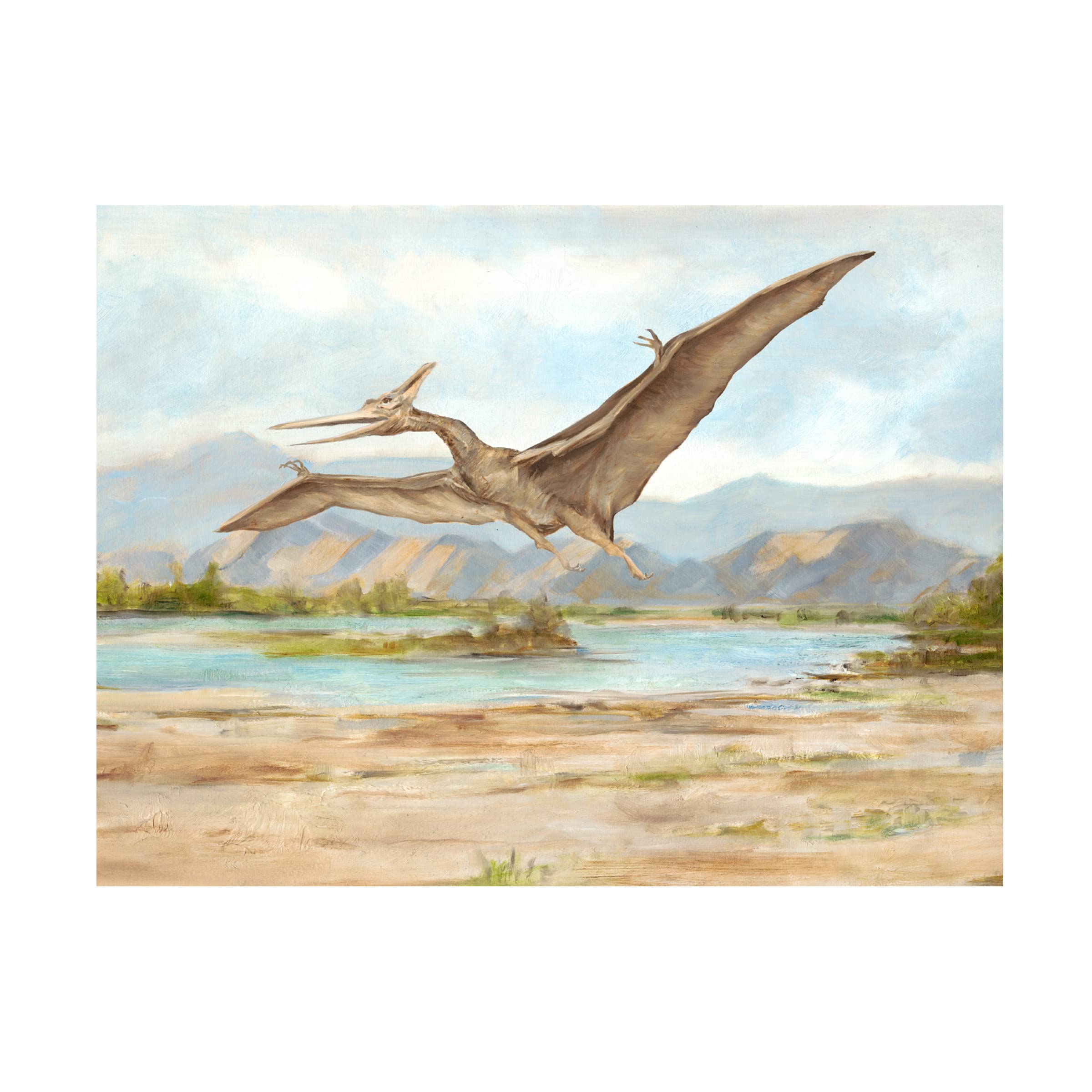 Trademark Fine Art 'Dinosaur Illustration VI' Canvas Wall Art by Ethan Harper - Perfect for Kids' Rooms, Playrooms & Dinosaur Themed Decor