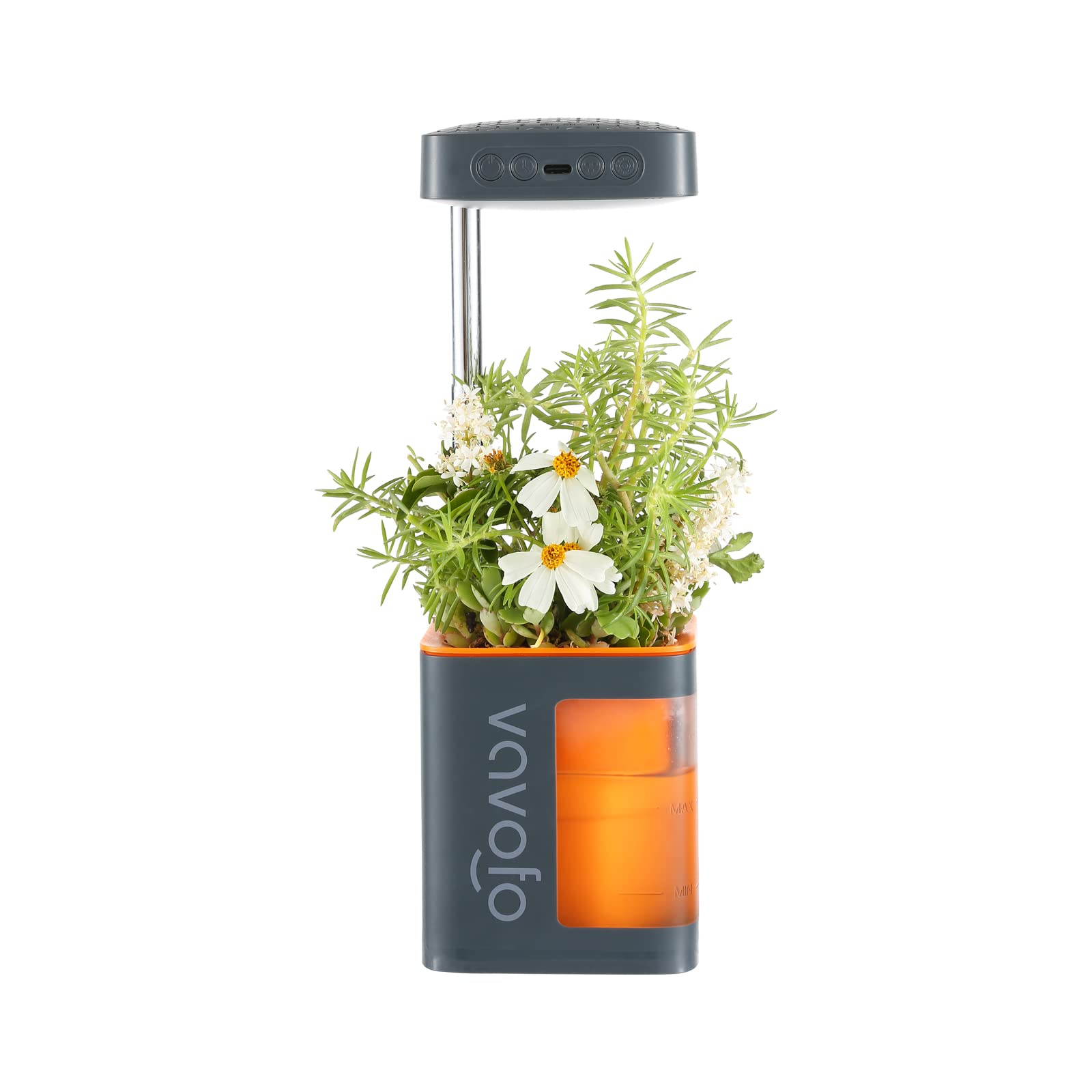 Vavofo Mini Desk Plant Grow Light with Planter - Adjustable Height, Full Spectrum LED, Auto Timer for Indoor Plants | Perfect for Home Office, Seed Germination & Small Space Gardening