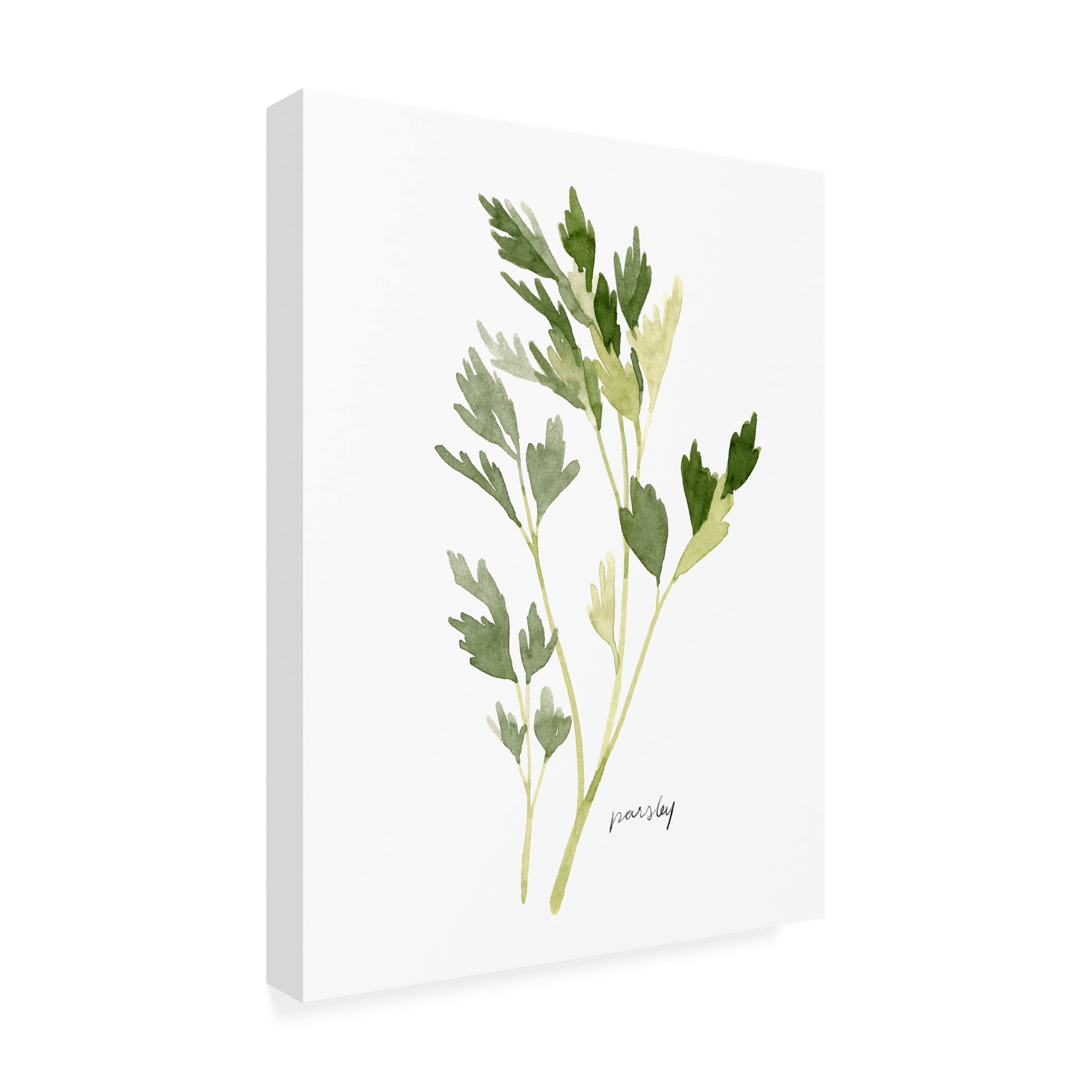 Emma Scarvey 'Herb Garden Sketches II' Canvas Wall Art Print - Botanical Kitchen Decor, Home Office & Living Room Decorations
