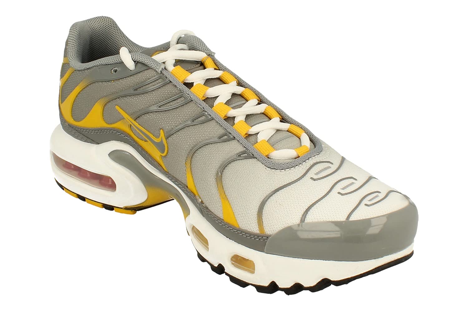 Nike Air Max Plus GS Running Shoes for Kids - Lightweight Cushioned Sneakers for Training, Jogging & Everyday Wear | Style Dj4619