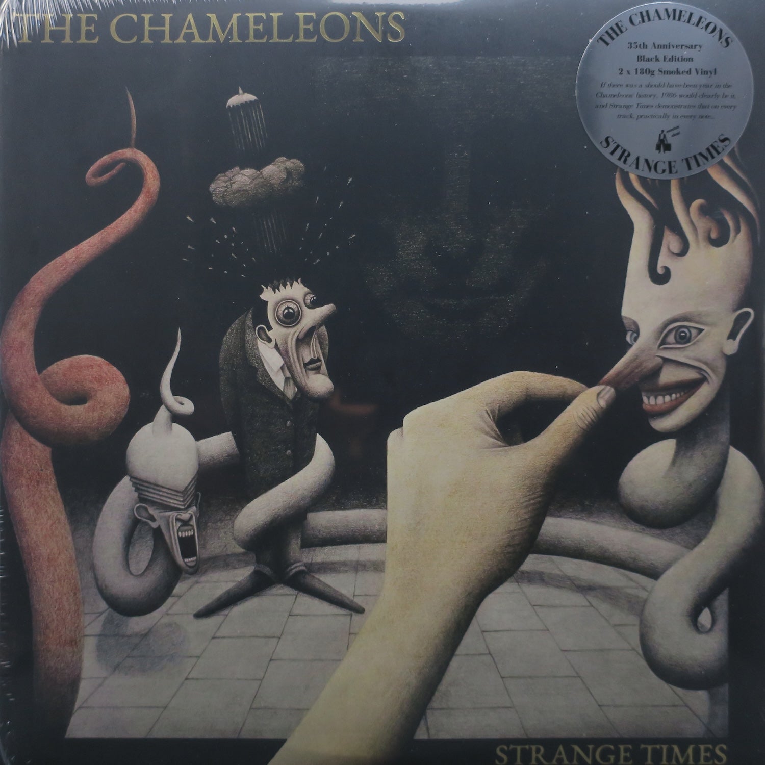 CHAMELEONS 'Strange Times' SMOKEY Vinyl 2LP Record (1986 Post Punk New Wave Album) - Perfect for Vintage Music Collectors & Retro Listening Parties