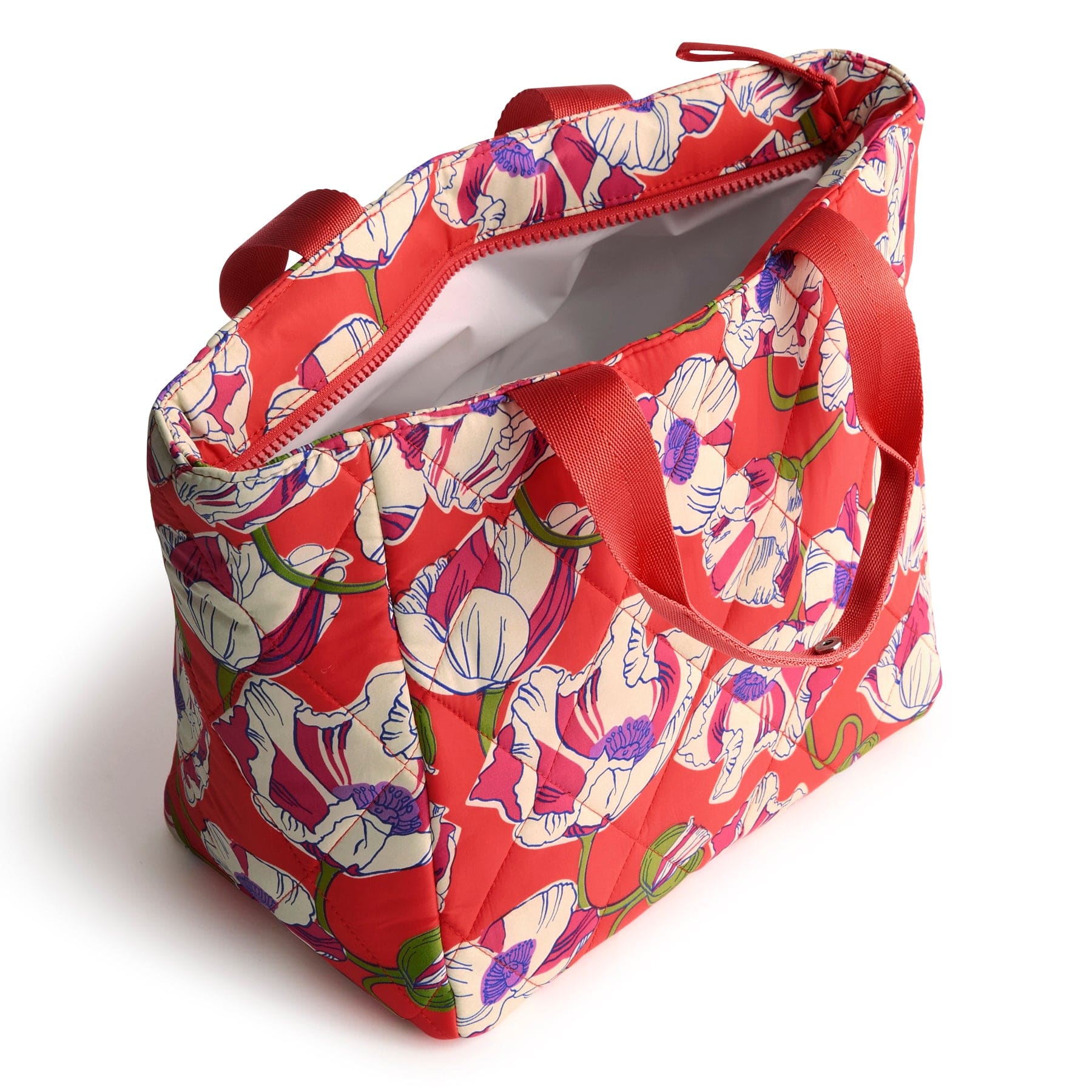Insulated Lunch Tote Bag for Work & School - Leakproof Cooler Lunch Box with Adjustable Shoulder Strap - Perfect for Office, Picnics & Commuting (Model 5017721370)