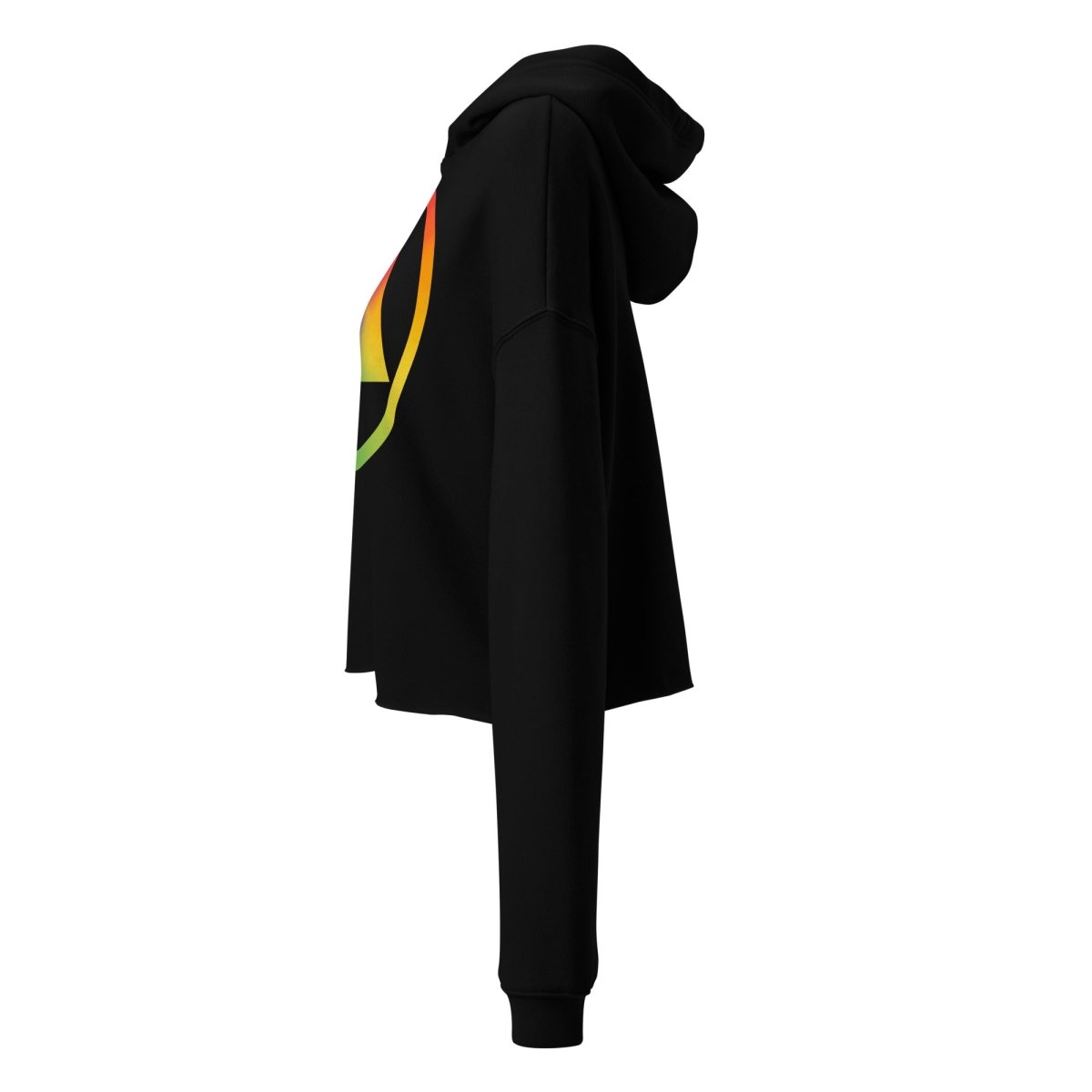 Rainbow Resilience Crop Hoodie - LGBTQ Pride Edition | Soft Comfortable Pullover for Women | Perfect for Pride Parades, Festivals & Everyday Wear