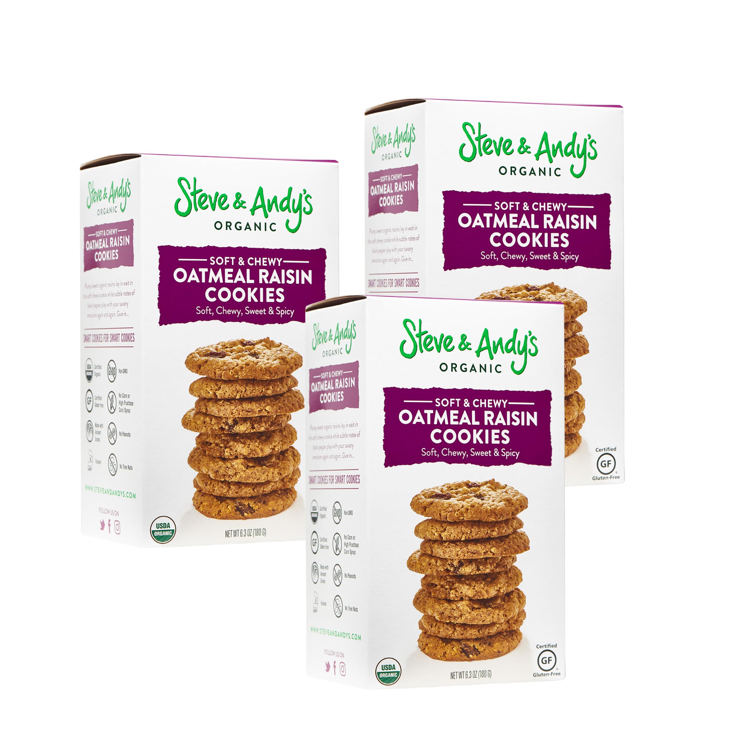 Steve & Andy’s Organic Gluten-Free Soft & Chewy Oatmeal Raisin Cookies - Non-GMO, Ancient Grains, Healthy Snack - 3 Pack (Perfect for Lunchboxes, Office Snacks & Vegan Diets)