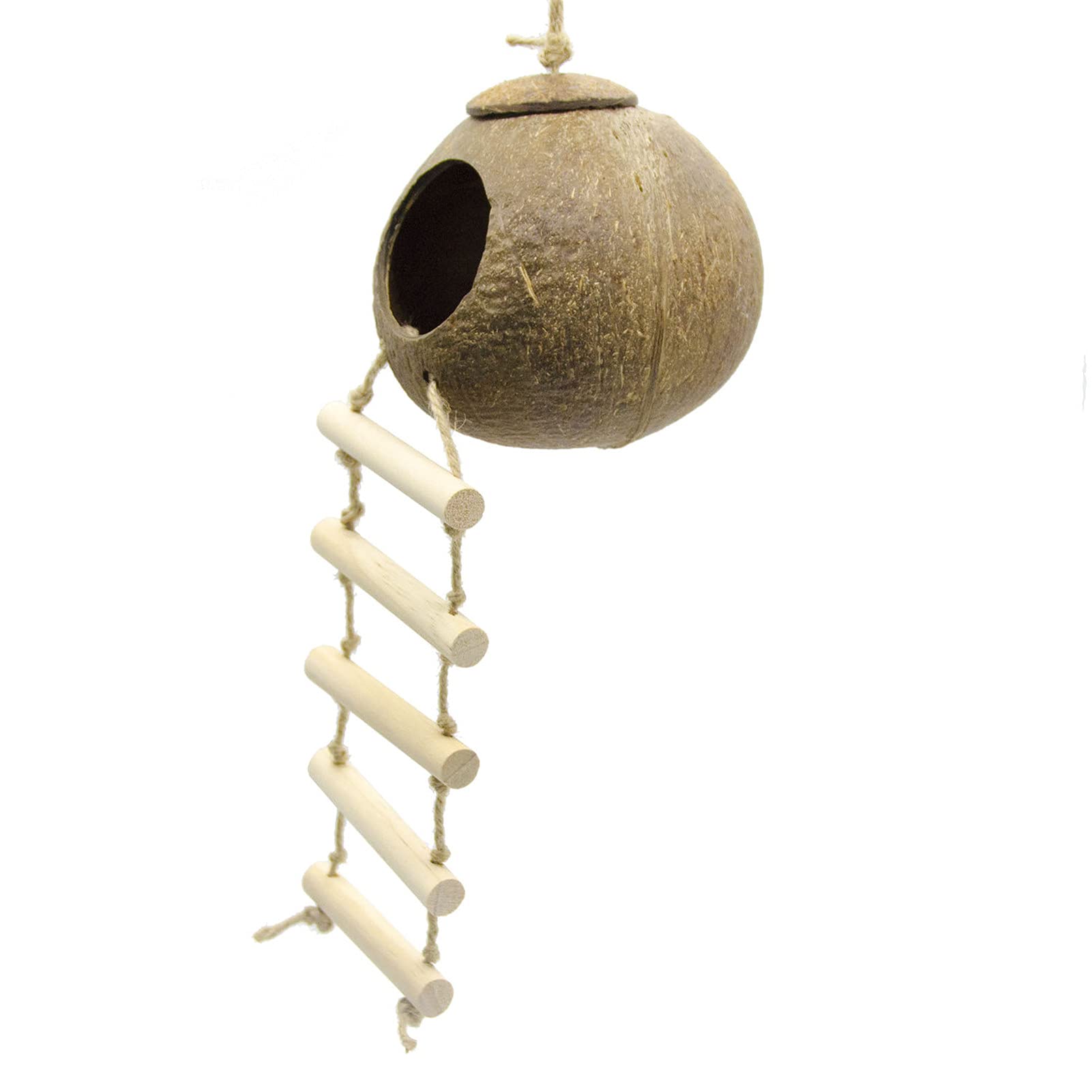 Natural Wooden Parrot Coconut Nest Toy with Ladder - Handmade Bird House for Parrots, Finches & Canaries | Perfect for Cage Decoration & Bird Entertainment