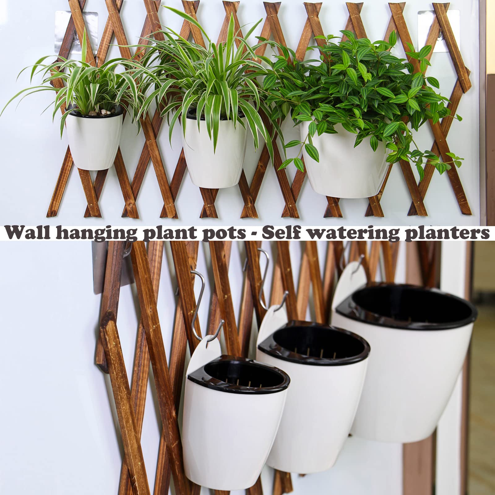6 Pack 5 Inch Self Watering Plastic Hanging Planters - Wall Mounted Wicking Flower Pots for African Violets, Spider Plants, Orchids - Indoor & Outdoor Use - Perfect for Balconies, Patios, and Small Space Gardening