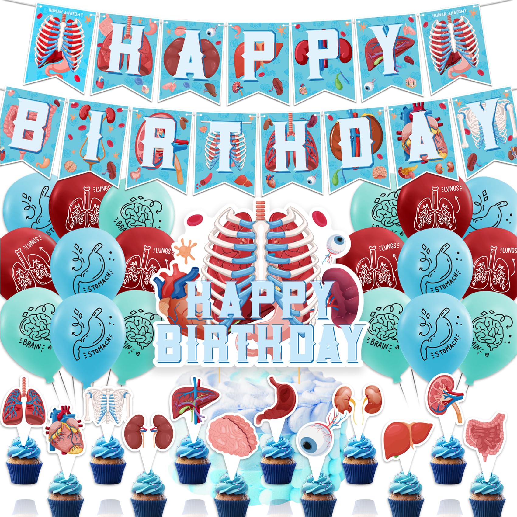Human Anatomy Party Decorations Set - Happy Birthday Banner, Cake Topper, Cupcake Toppers & Balloons for Medical Themed Parties, Halloween Decor, Science Classroom Decorations