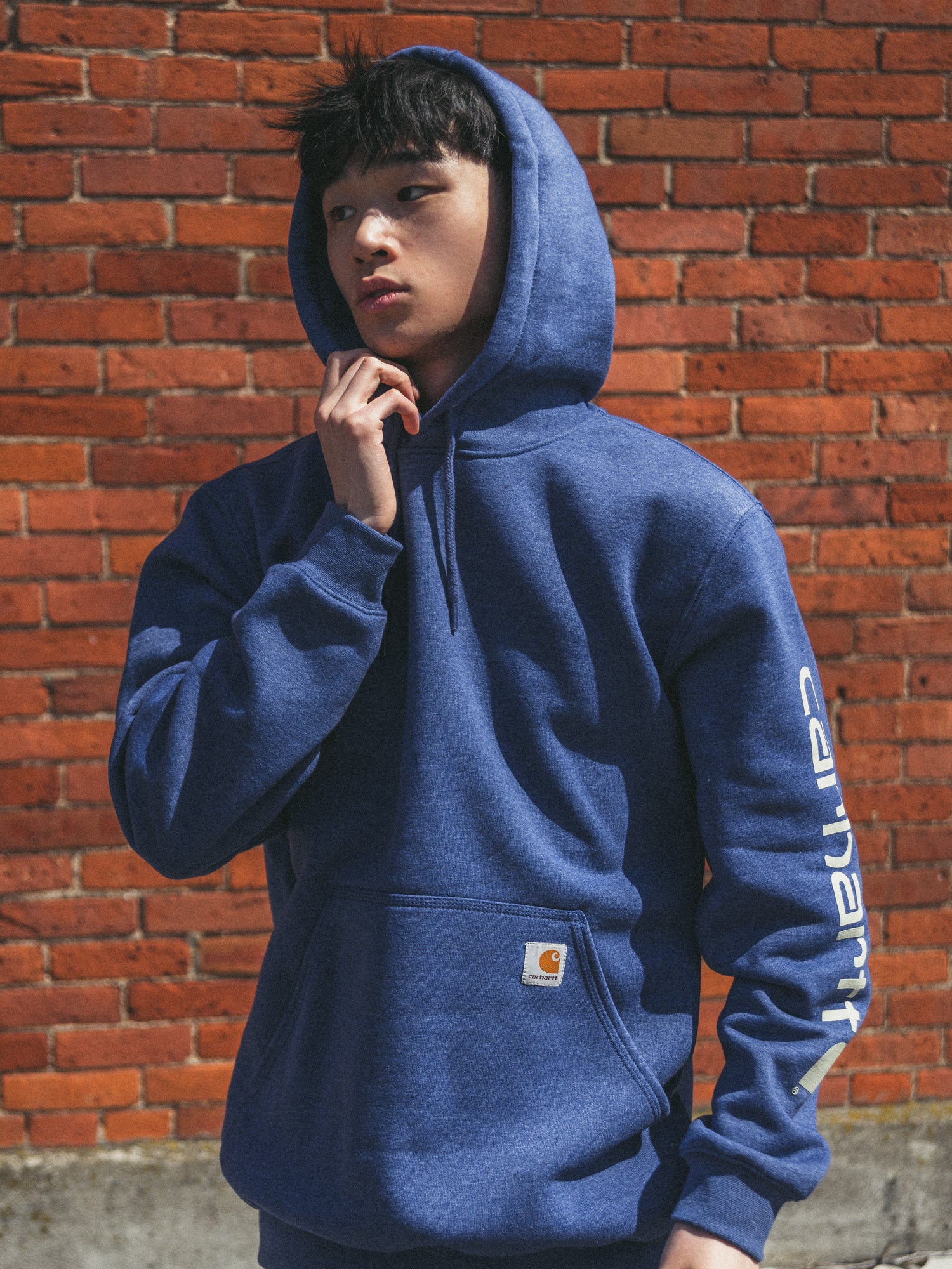 Carhartt Loose Fit Midweight Logo Sleeve Hoodie - Men's Workwear Pullover for Outdoor & Casual Wear - Clearance Sale