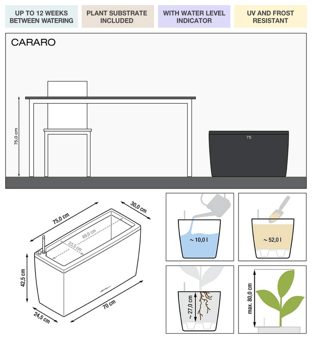 Lechuza CARARO Premium Black High Gloss Self-Watering Planter 18809 - Perfect for Indoor Plants, Home Decor & Office Spaces