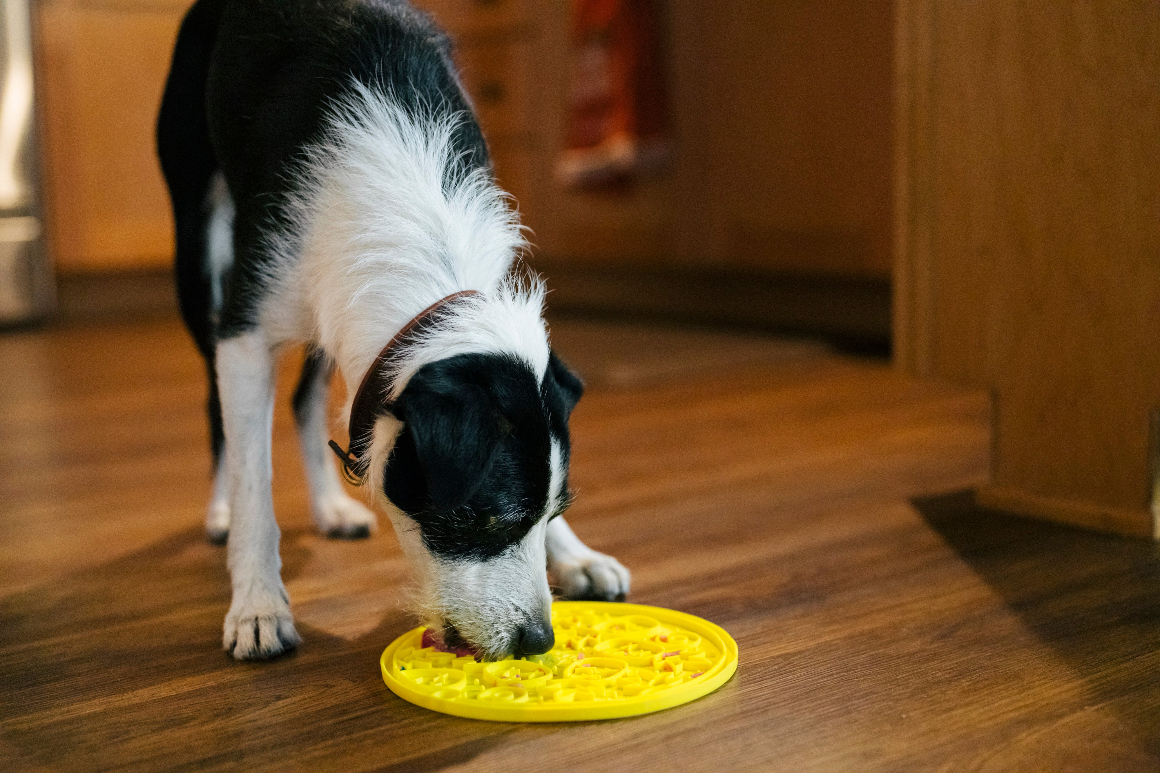 EverLick Slow Feeder Mat for Dogs and Cats - Avocado (Small) & Pineapple (Large) | Pet P.L.A.Y. - Interactive Puzzle Toy for Mealtime Fun & Mental Stimulation