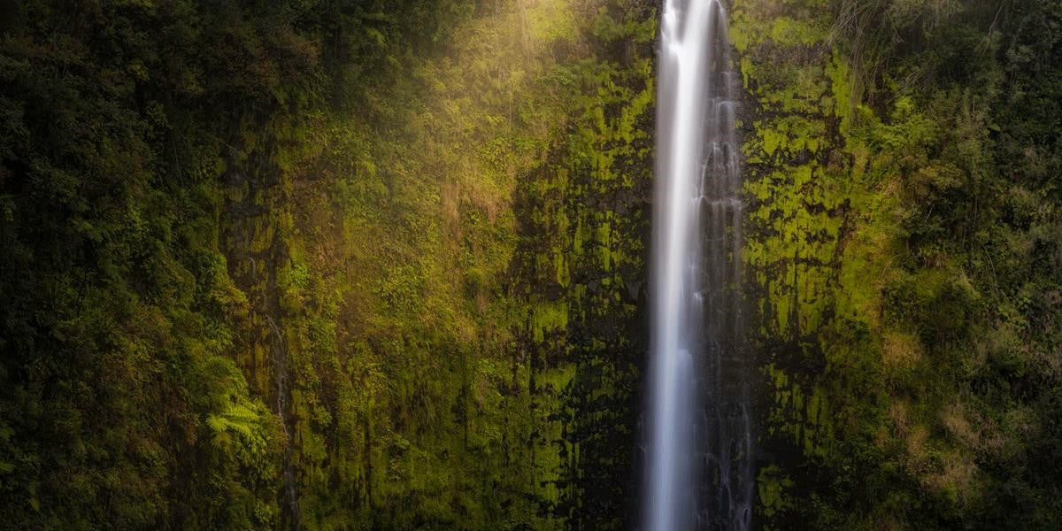 Stunning Akaka Falls Hawaii Landscape Art Print - Premium Gallery Wrap Canvas for Home & Office Decor - Perfect for Living Room, Bedroom, or Gift