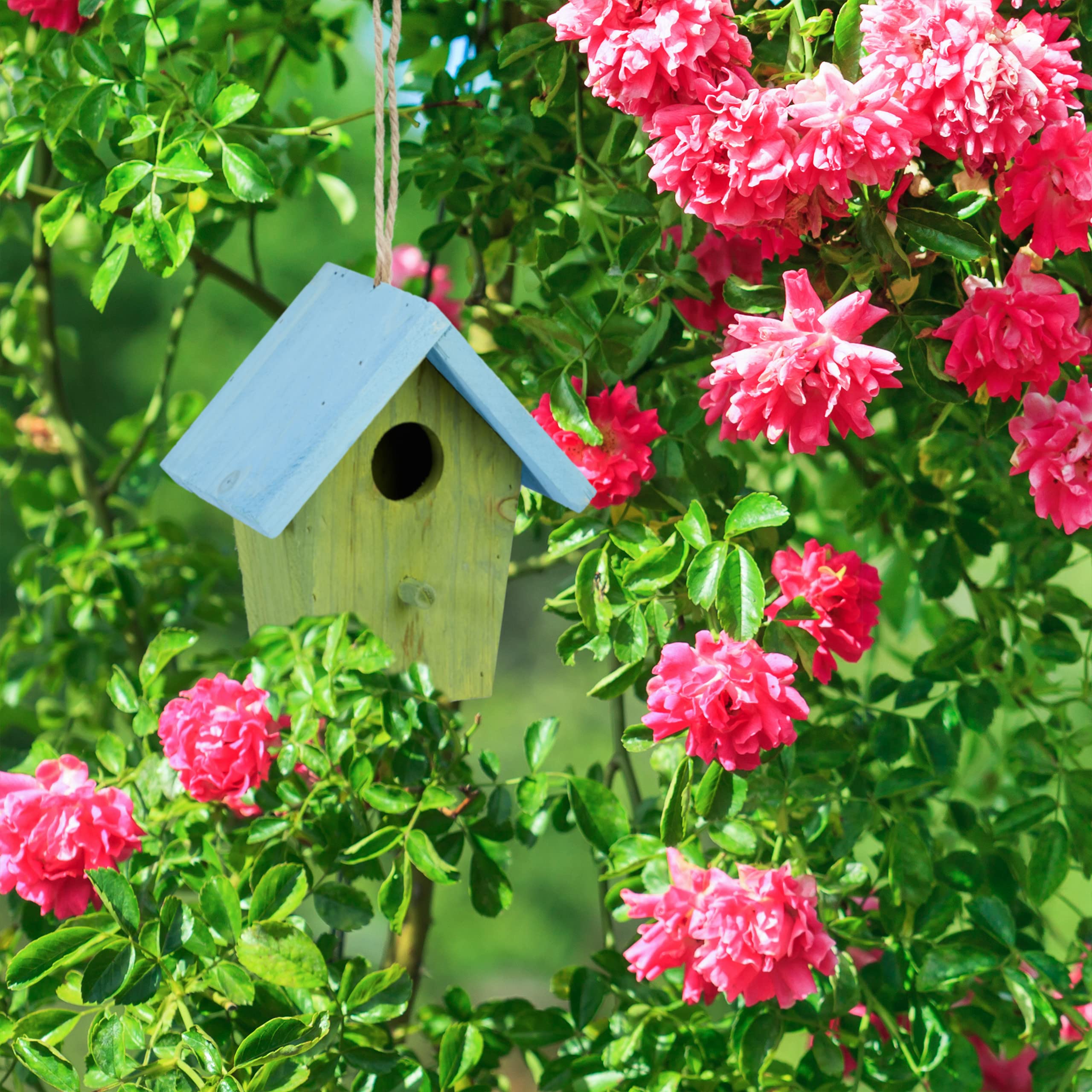 Vibrant Wooden Bird House - Small Hanging Bird Feeder with Spring Decor (16x15x8cm) - Perfect for Garden, Patio & Backyard Bird Watching