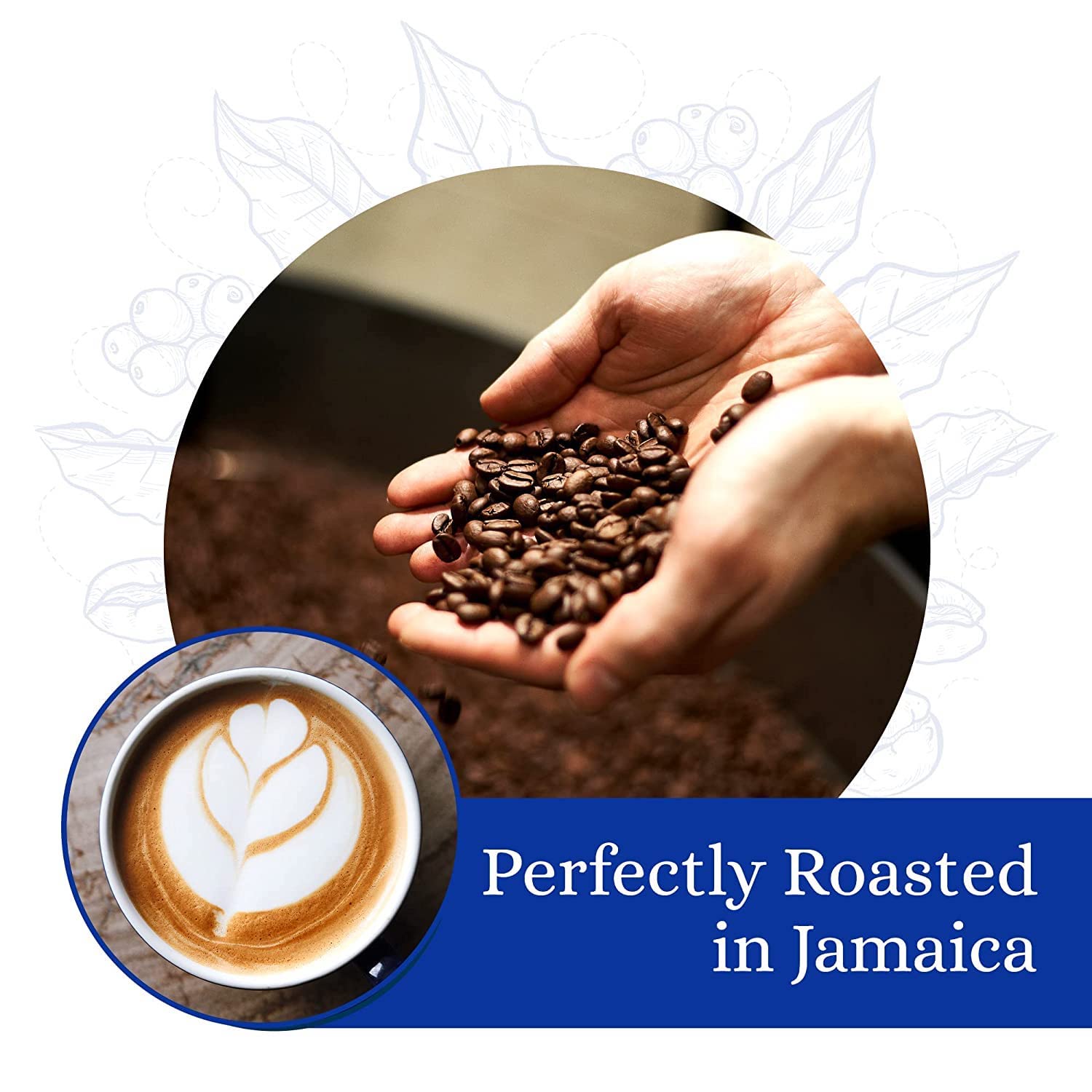 Premium Jamaica Blue Mountain & Colombian Coffee Blend - 8oz Whole Bean Coffee for Brewing, Gifting & Home Baristas - Cafe Blue Gourmet Coffee Pack
