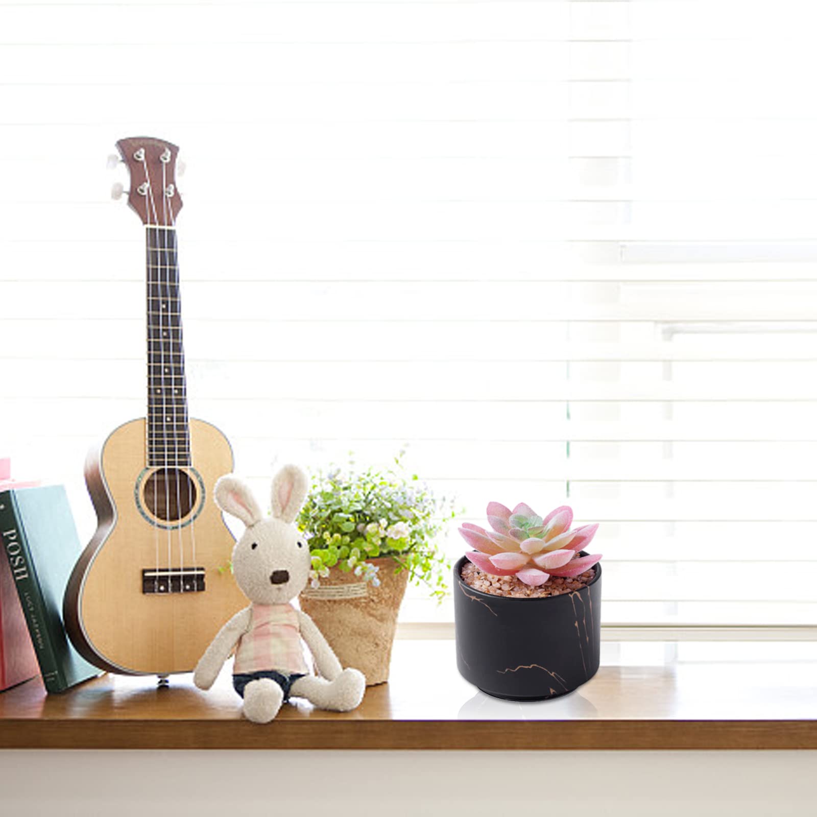 Zenmag Mini Artificial Succulents in Black Ceramic Pots - Fake Plants for Desk, Office, Home Decor - Perfect for Living Room, Bathroom, Bedroom & Aesthetic Workspace - Cute Tabletop Decor for Women (1PC)