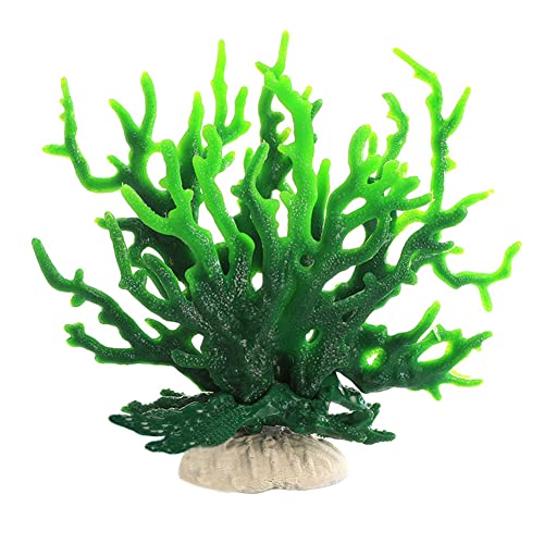 Ct107 Green