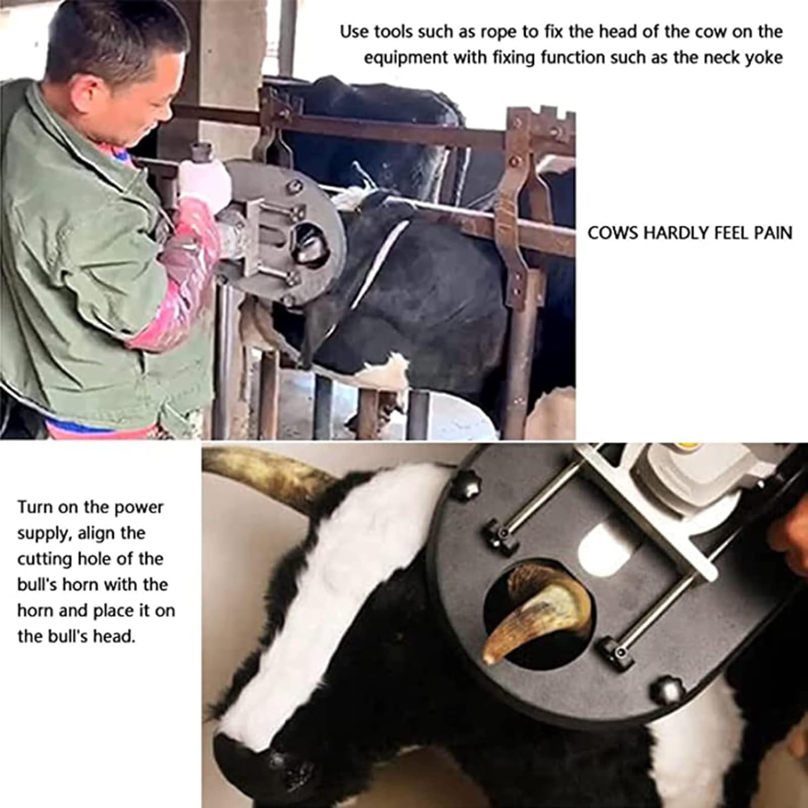 Electric Cattle Dehorner for Adult Cows & Sheep - 110V Red Horn Cutting Tool | Professional Livestock Horn Removal Equipment for Large Cattle & Farm Animals | Perfect for Dairy Farms, Ranches & Veterinary Use