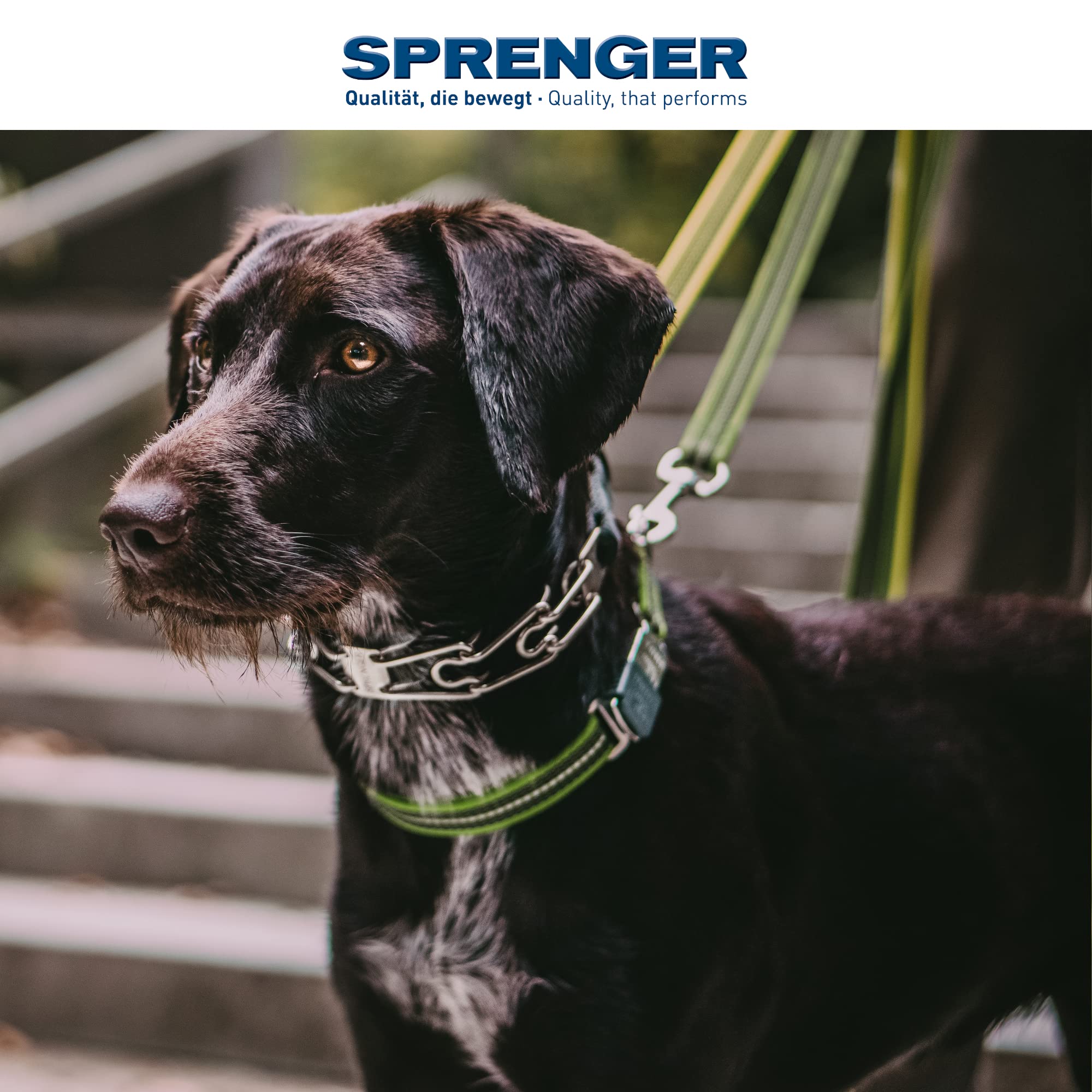 Premium Herm Sprenger Stainless Steel Dog Training Collar with Swivel D-Ring - 3 Extra Links & 30 Comfort Tips for Small, Medium & Large Dogs - Made in Germany (Medium-Large Size) - Perfect for Obedience Training, Daily Walks & Outdoor Adventures