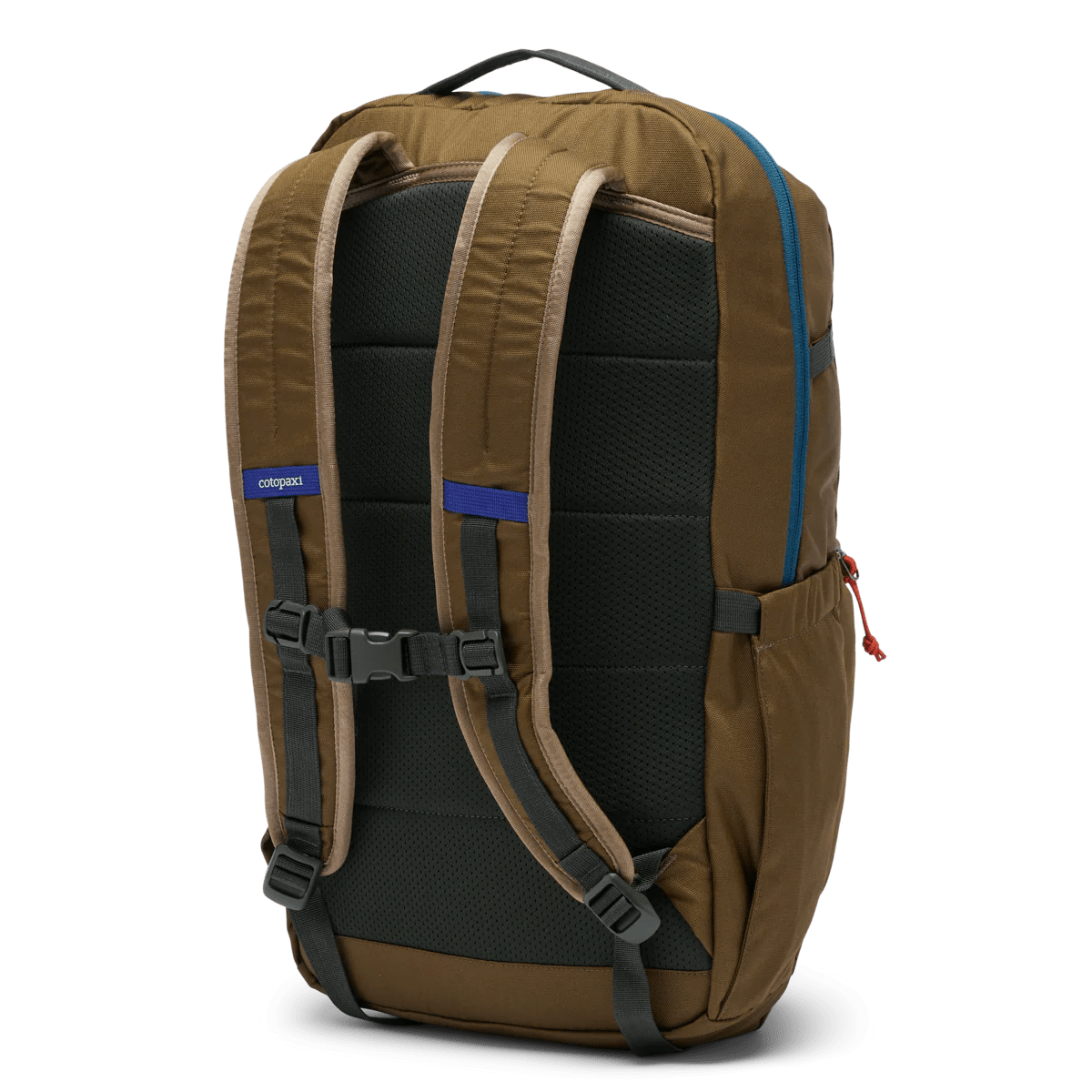 Cotopaxi Chiquillo 26L Backpack - Lightweight Durable Daypack for Hiking, Travel & Everyday Use - Water-Resistant Cada Día Collection in Live Oak Green