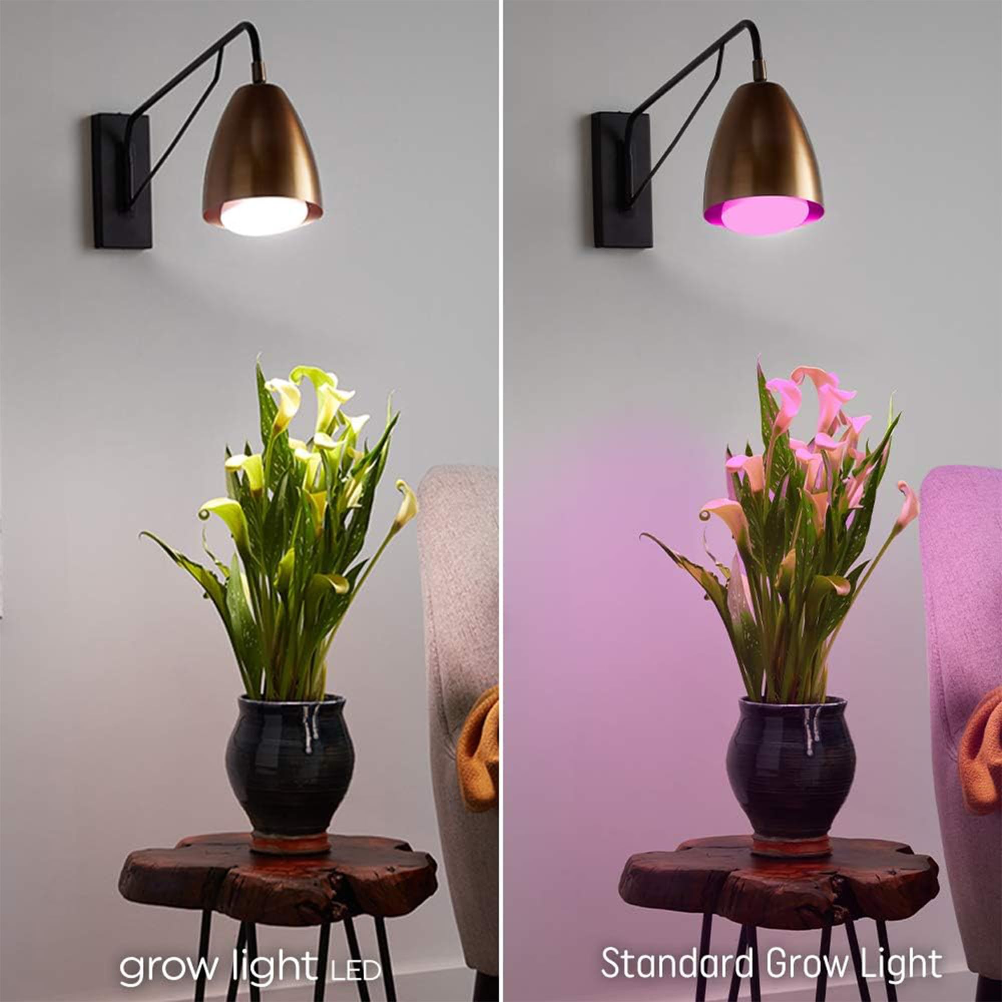 GE T8 LED Grow Light Bulbs for Indoor Plants - 18W, 36 PPF, 48 Inch Balanced Spectrum Lighting for Seeds, Greens & Herbs (6 Pack) - Perfect for Hydroponics, Greenhouses & Home Gardening