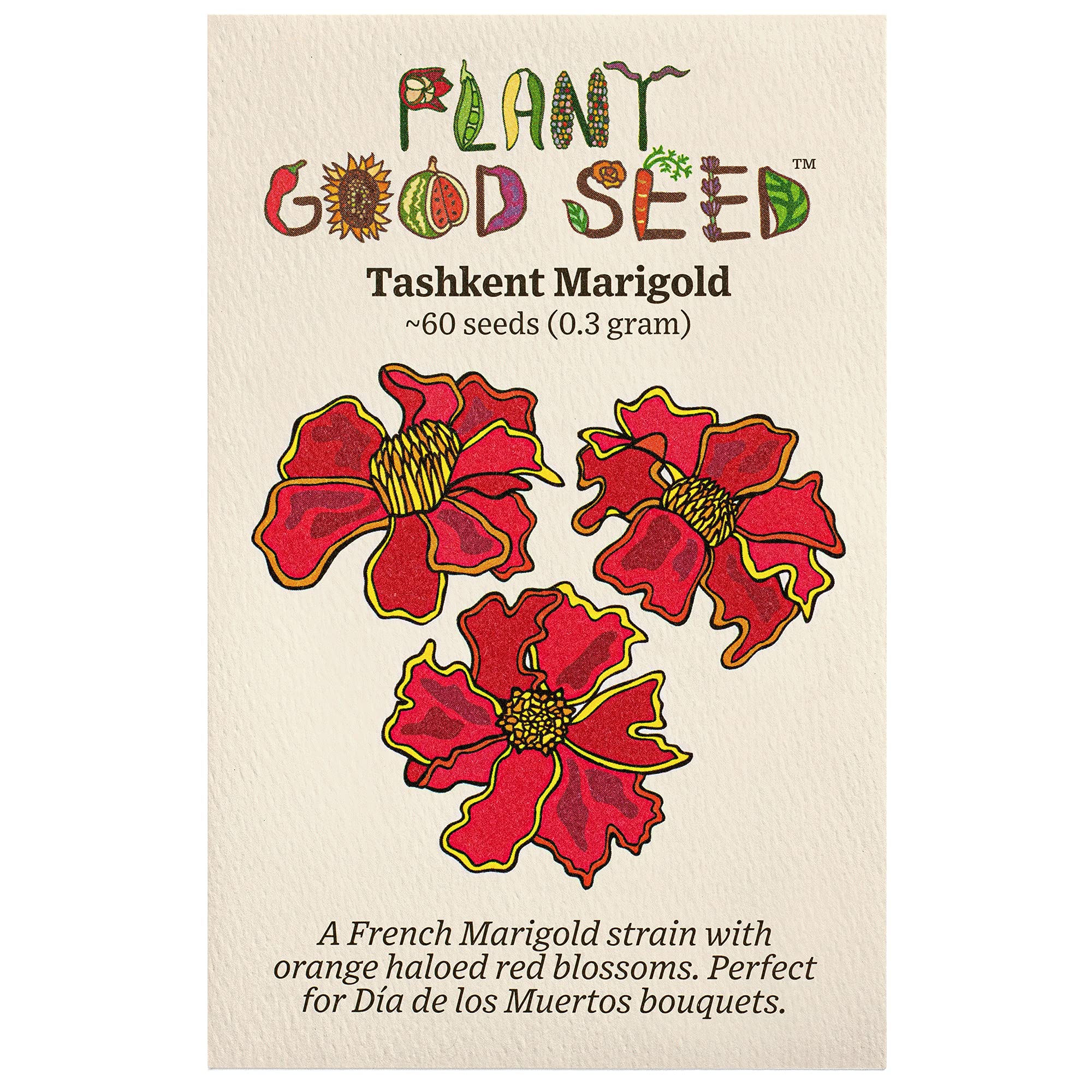 Organic Tashkent French Marigold Seeds - Non-GMO Heirloom Flower Seeds for Planting (Pack of 60) | USA-Grown Gardening Supplies for Outdoor Gardens, Wildflower Beds & Herb Gardens | Perfect for Pollinator-Friendly Landscapes & Container Gardening