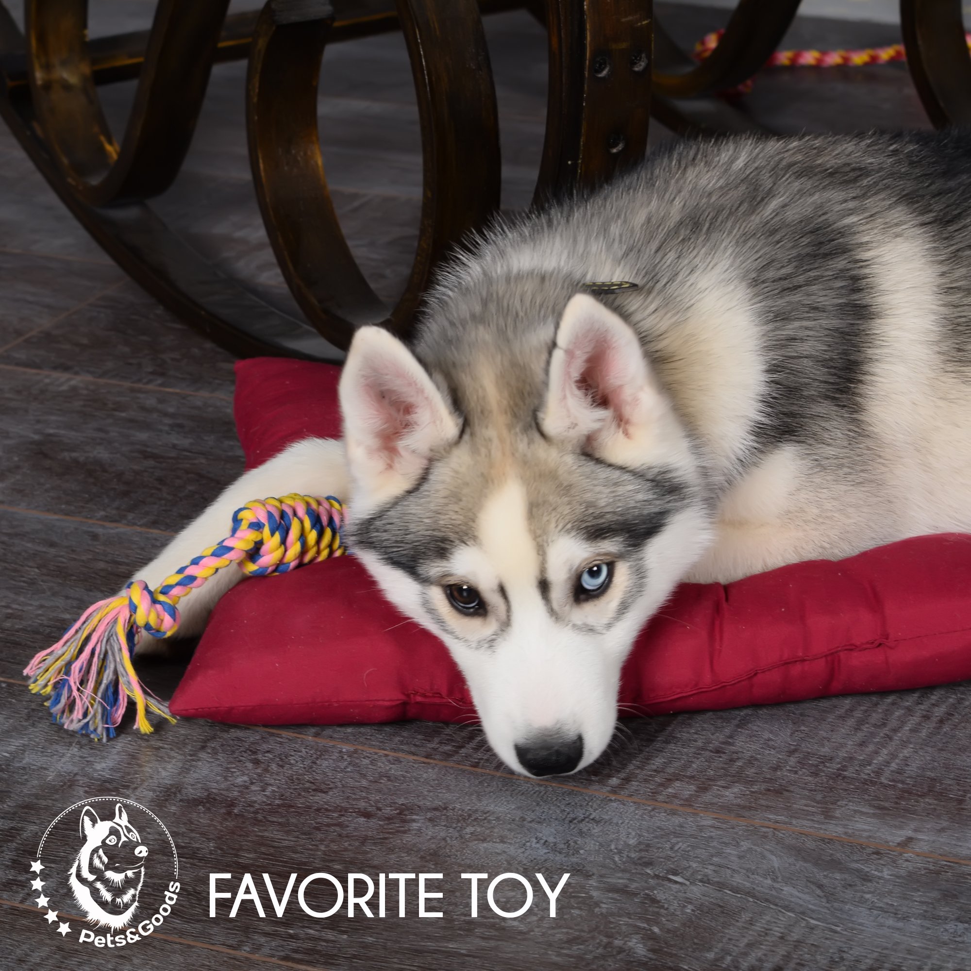 Durable Dog Chew Toys for Puppies & Small Dogs - 5 Pack Cotton Rope Tug & Teething Toys Set - Safe Washable Pet Chewing Toys for Aggressive Chewers - Perfect for Indoor Play, Training & Dental Health