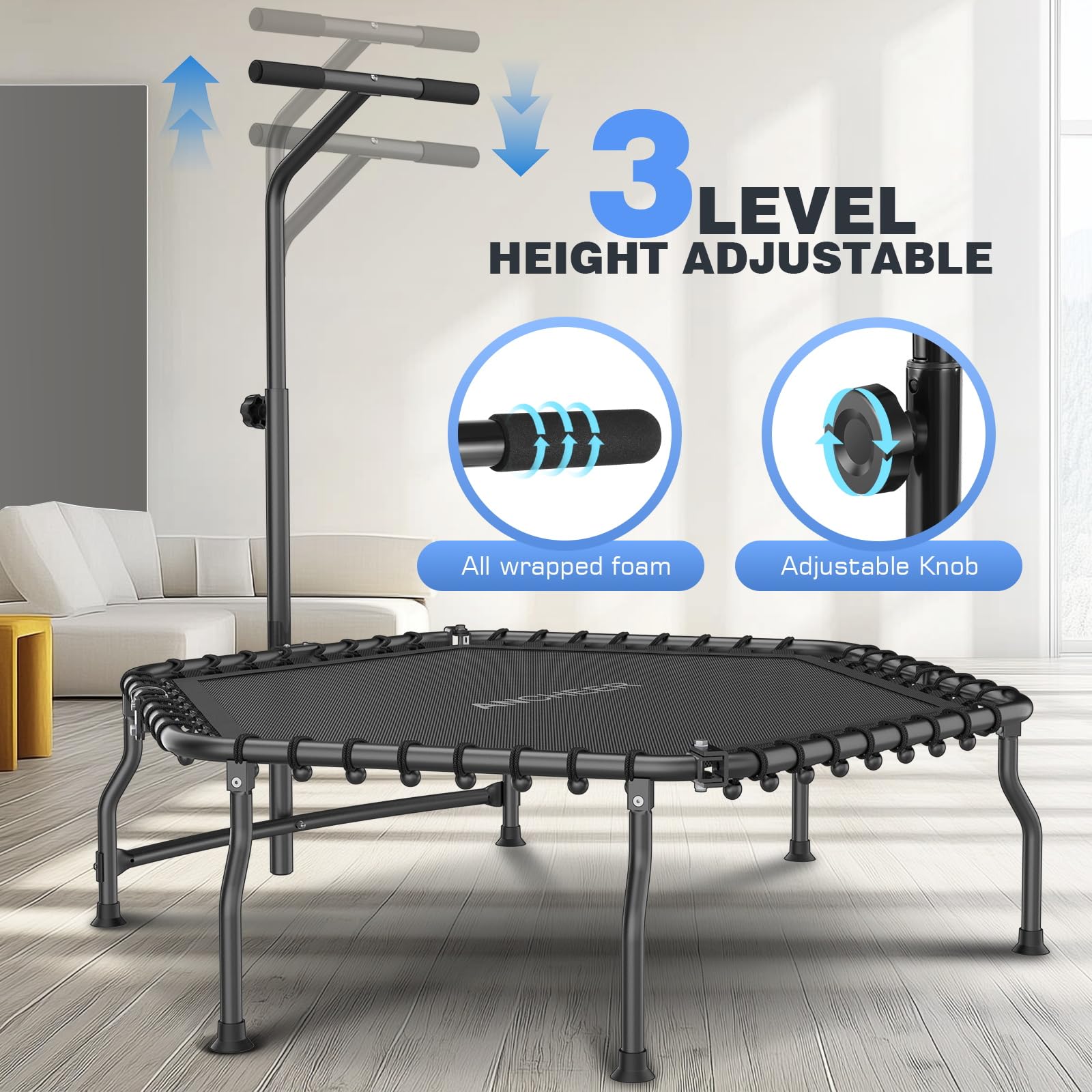 ANCHEER 50