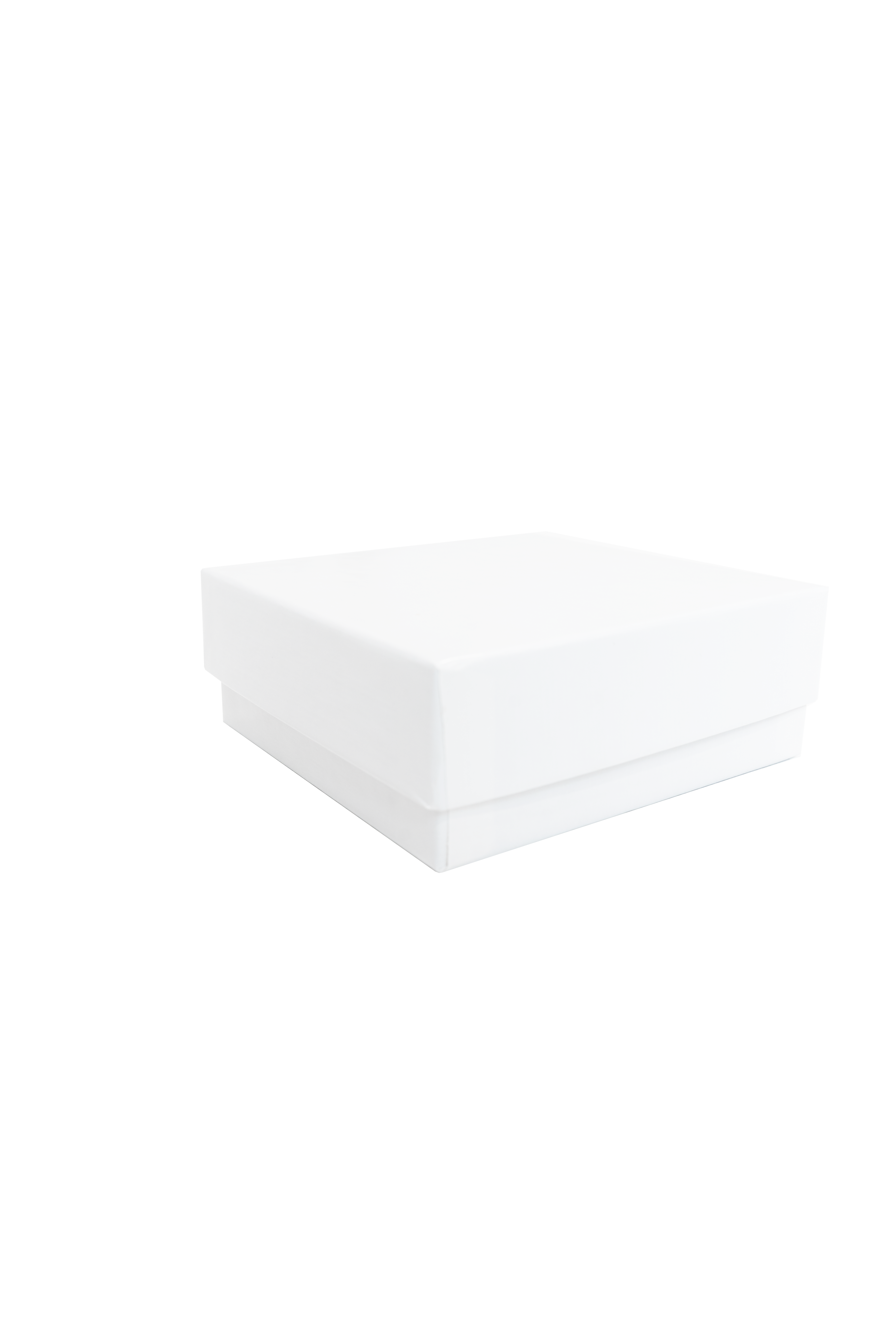 10-Pack of 2 Standard Boxes with 100 Place Dividers - Perfect for Shipping, Storage & Organizing Small Parts, Jewelry, or Crafts