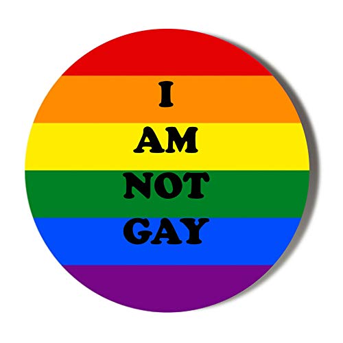 I AM NOT GAY - PRIDE Rainbow Handheld Mirror 58mm - Perfect for Pride Events, Home Decor & Makeup Vanity Accessories
