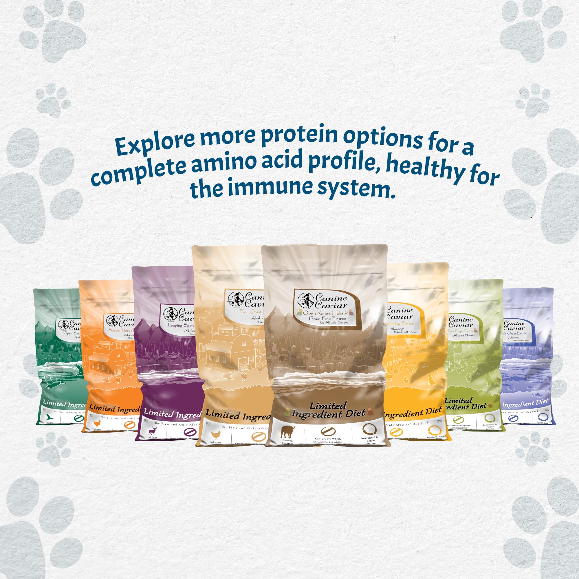 Canine Caviar Free Spirit Chicken & Pearl Millet Alkaline Dry Dog Food - Limited Ingredient, Gluten-Free Formula | Science-Backed Veterinary Alternative Diet for Dogs (22lb Bag) - Perfect for Sensitive Stomachs & Allergies