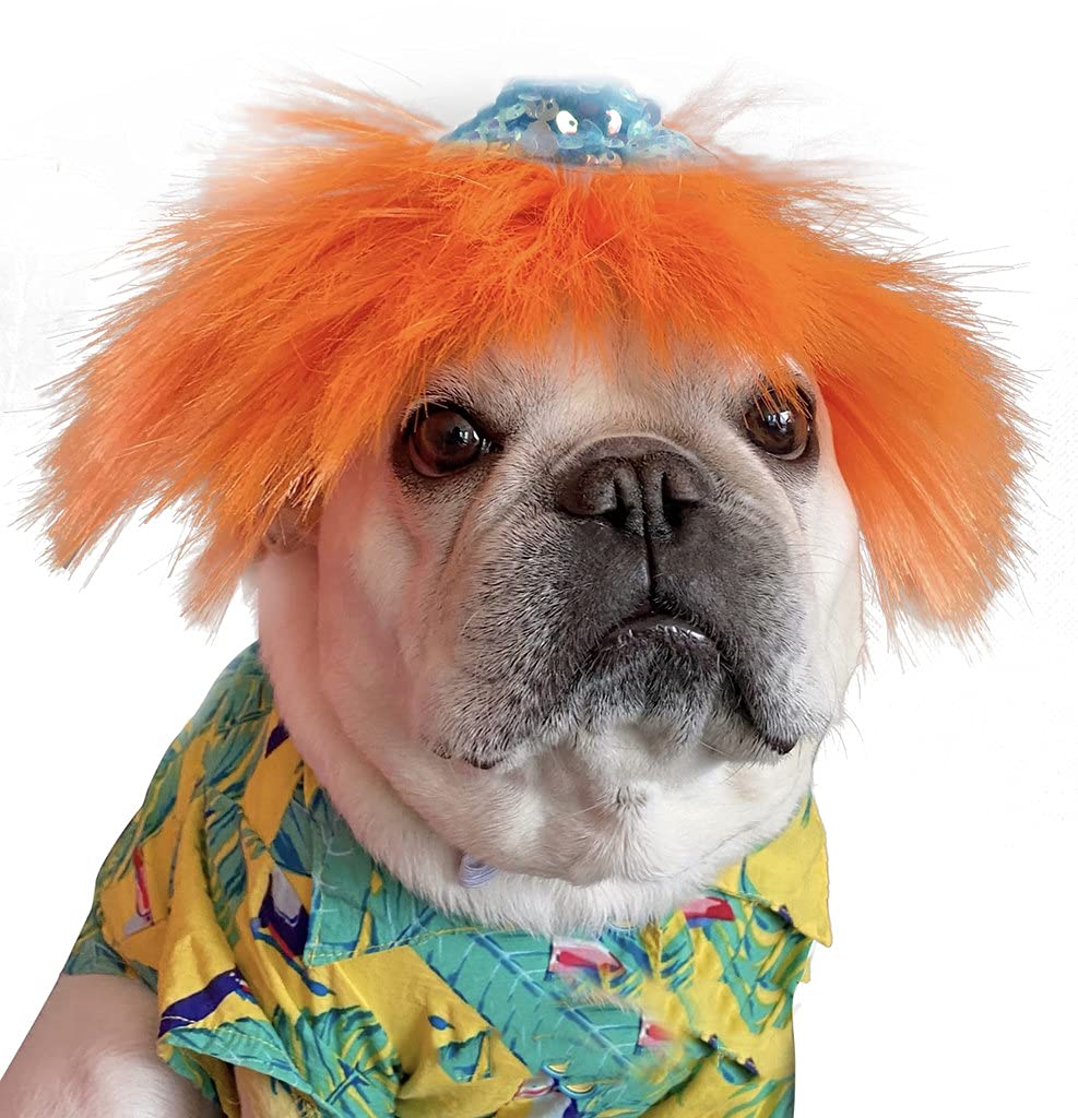 Adjustable Dog Wigs for Small Medium Large Dogs - Orange Synthetic Straight Hair with Blue Top Hat - Perfect for Halloween, Christmas & Cosplay Costumes - Comfortable Elastic Strap Pet Accessories for Girl Dogs