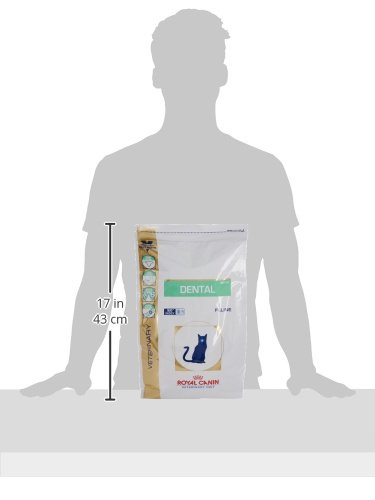 ROYAL CANIN Veterinary Diet Dry Cat Food for Dental Care - 3kg (6.6lb) | Vet-Recommended Oral Health Formula for Cats | Perfect for Daily Dental Maintenance & Tartar Control