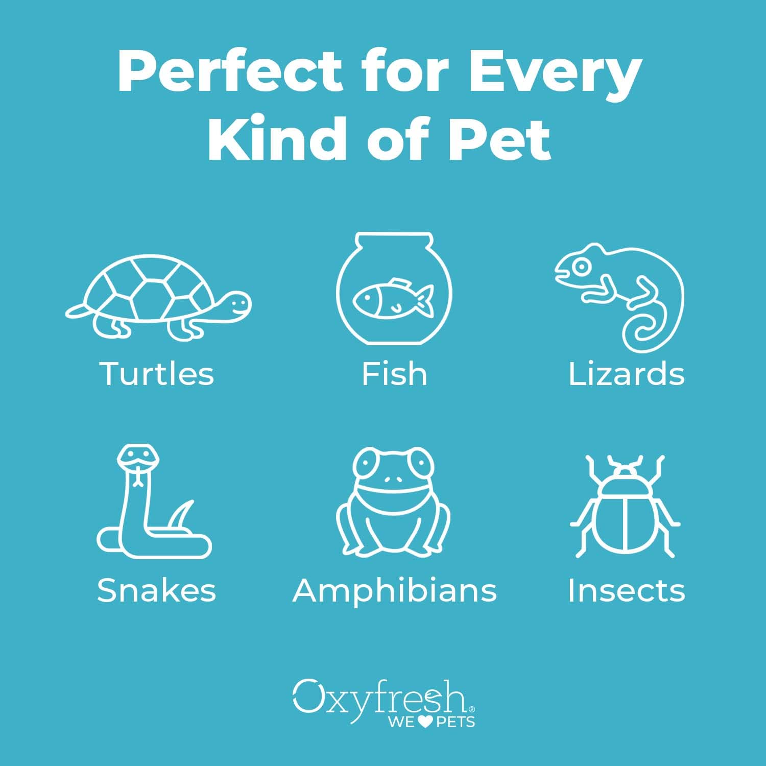 Oxyfresh Premium Terrarium Cleaner for Reptiles & Amphibians | Safe, Fast-Acting Odor & Waste Remover | Streak-Free Glass Cleaner | Non-Toxic, Bleach-Free Formula | Ideal for Terrarium, Vivarium & Pet Habitat Maintenance