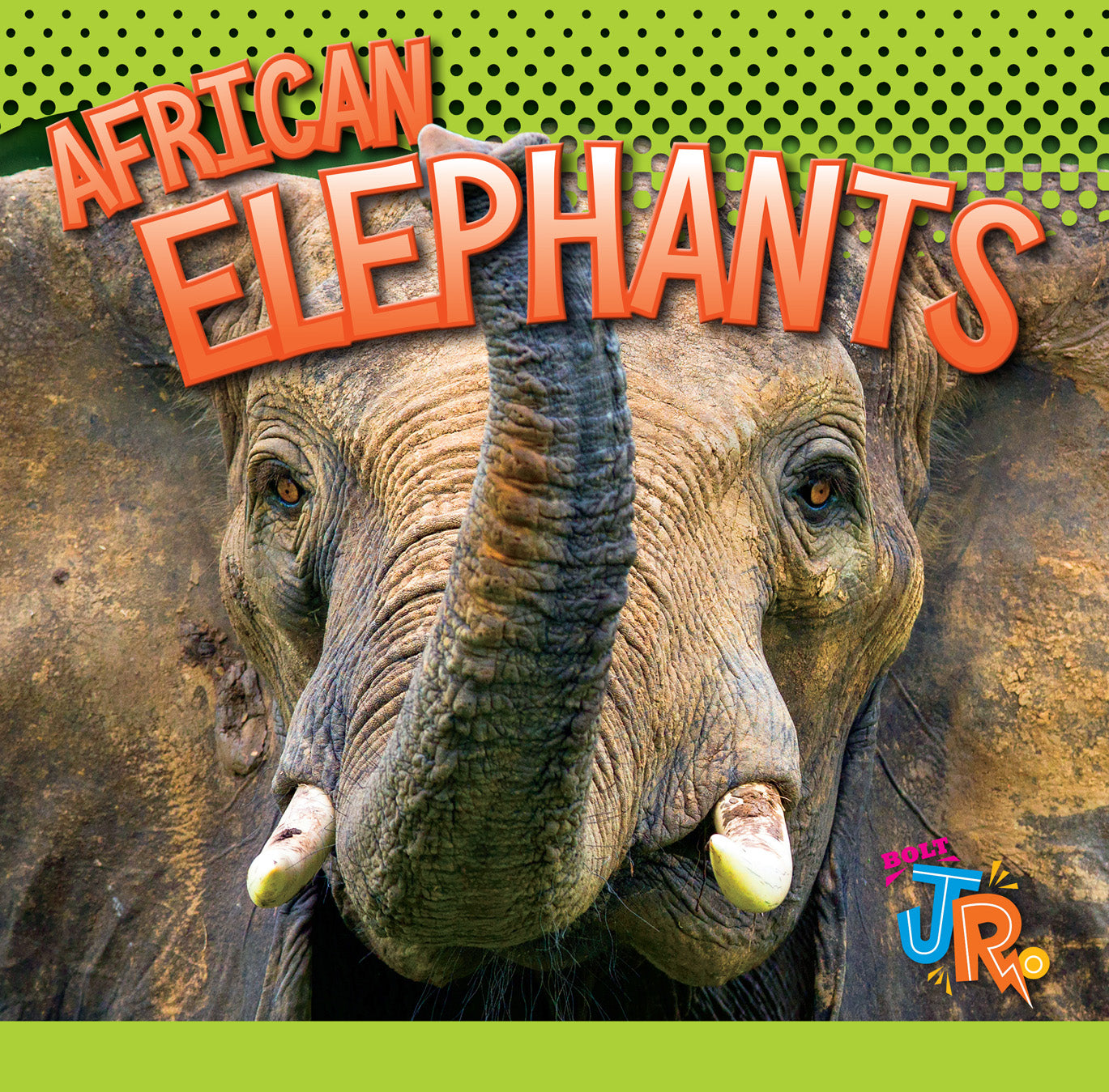 African Elephants - Handcrafted Wooden Elephant Statues for Home Decor & Gifts | Perfect for Living Room, Office & Safari-Themed Parties
