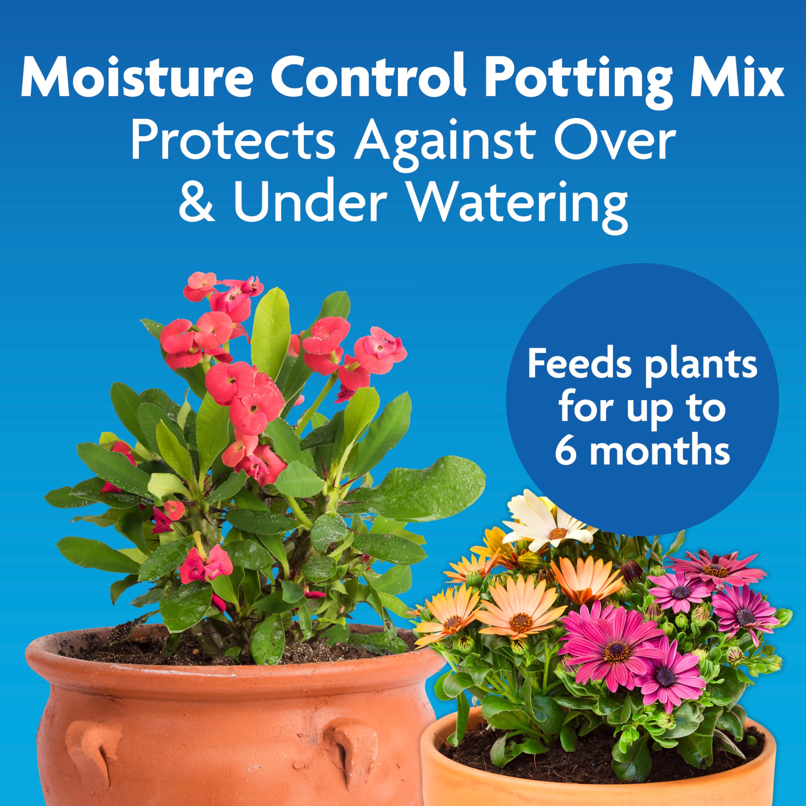 Miracle-Gro Moisture Control Potting Mix 6 qt - Premium Indoor & Outdoor Plant Soil for Flowers, Vegetables & Houseplants - Ideal for Container Gardening & Raised Beds
