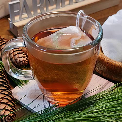 Organic Eastern White Pine Needle Tea Bags | Fresh & Natural USA-Made Herbal Tea | Antioxidant-Rich Immune Support | 10 Count | Perfect for Relaxation, Wellness & Detox Routines