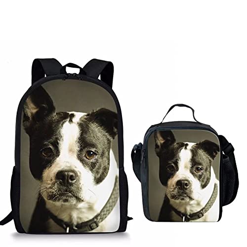 Pet Dog-2pcs