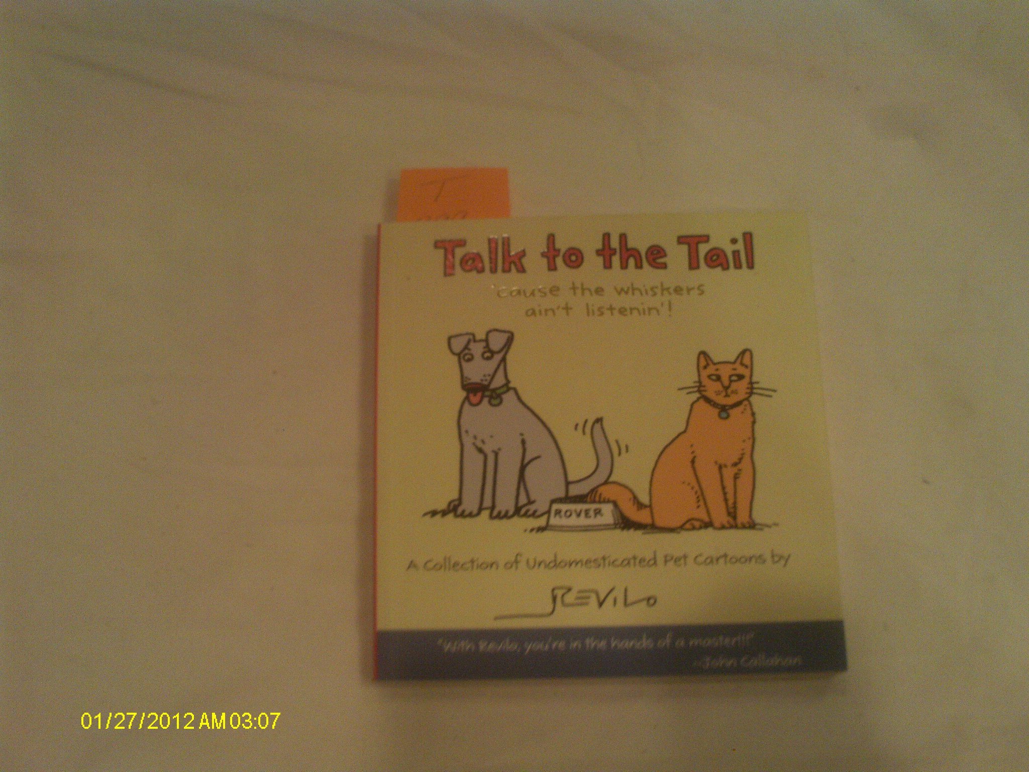 Talk to the Tail 'Cause the Whiskers Ain't Listening! Funny Cat Lover T-Shirt - Perfect Gift for Cat Owners & Pet Lovers - Wear to Vet Visits, Cat Cafes & Pet Parties