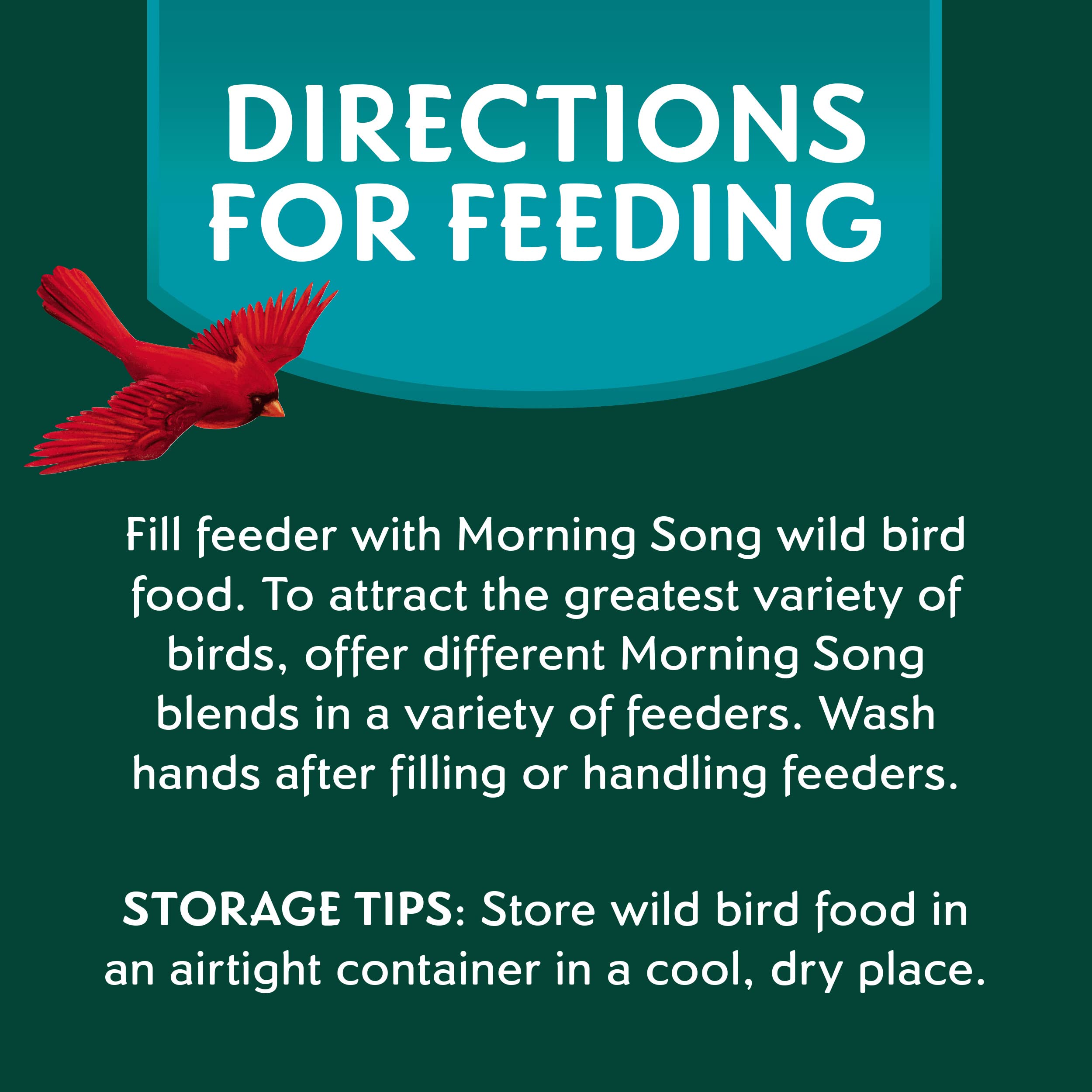 Morning Song Clean & Free Shell-Free Wild Bird Food - Premium No Mess Bird Seed for Outdoor Feeders (10-Pound Bag) - Attracts Cardinals, Finches & Songbirds to Your Backyard Garden