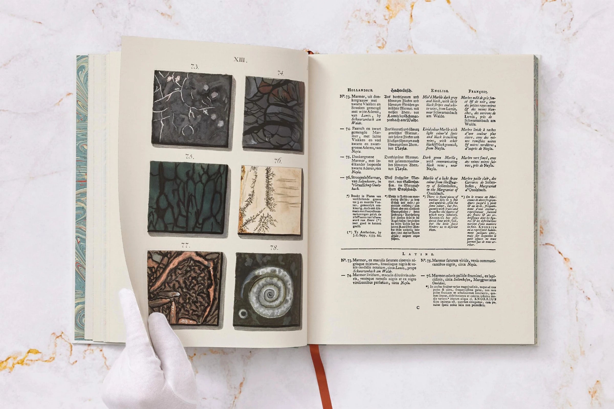 Jan Christiaan Sepp The Book of Marble | Antique Natural History Book | Rare Collectible Edition for Home Decor & Library Display