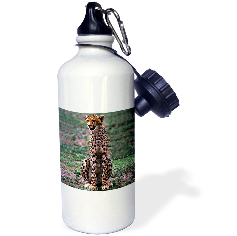 3D Rose Wild Turkey Gobbler Sports Water Bottle - 21 oz Insulated Stainless Steel Thermos for Hunting, Camping & Outdoor Activities - BPA Free White Water Bottle with Carry Handle