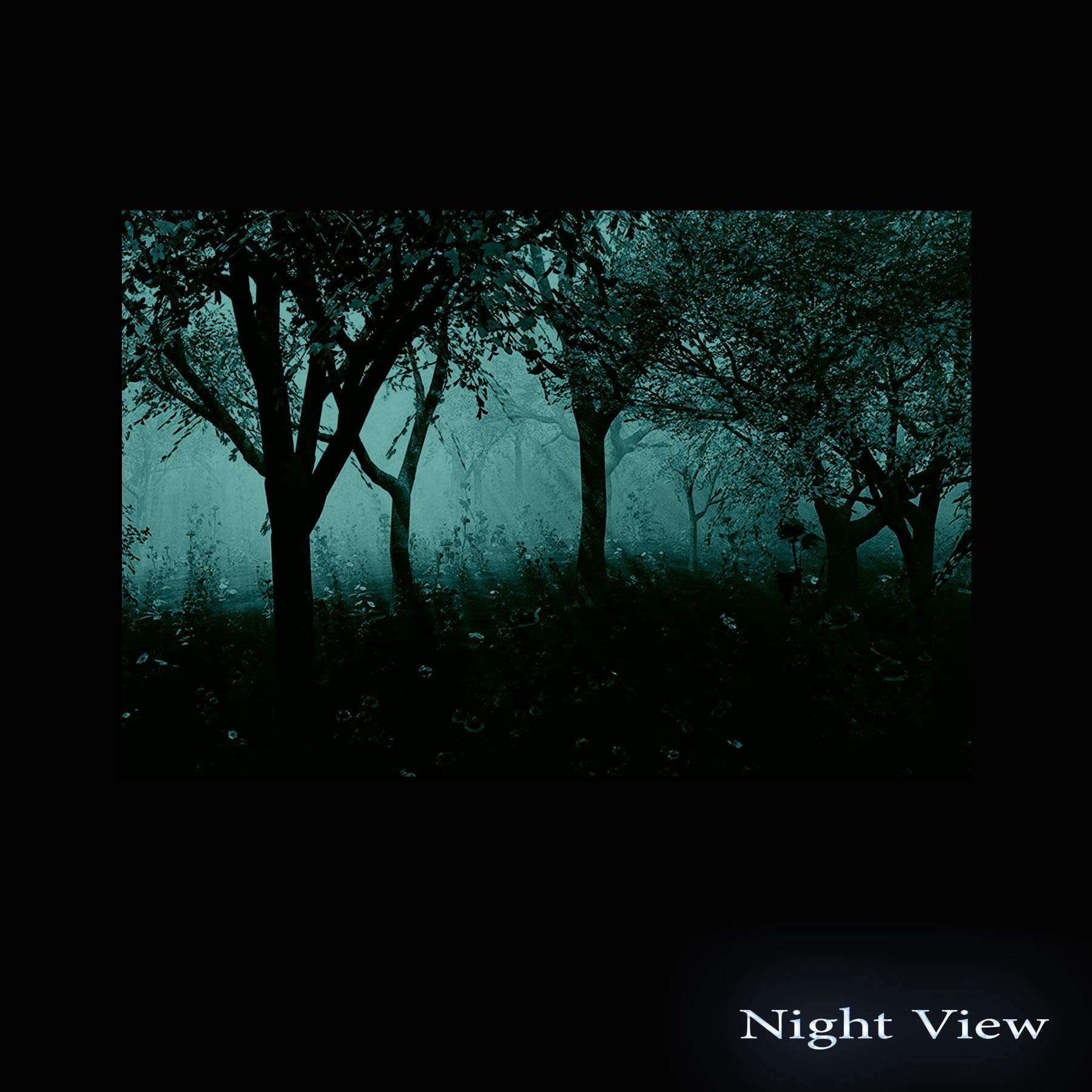 Startonight Purple Forest Acrylic Glass Wall Art - 24x36 Inch Modern Home Decor - High Gloss Ready to Hang Painting for Living Room, Bedroom & Office