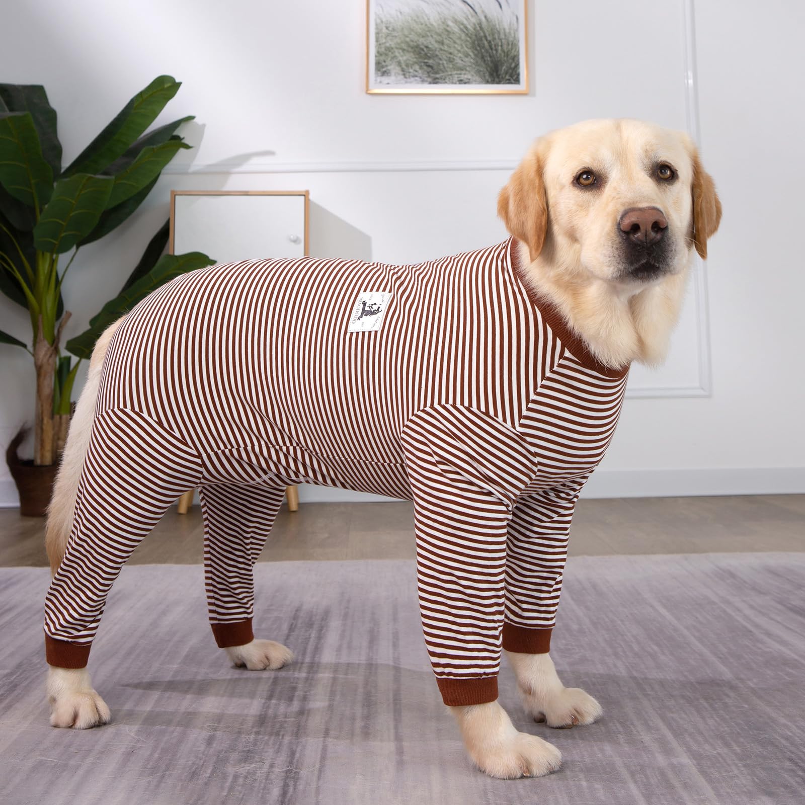 Post Surgery Dog Onesie with Zipper - Full Body Dog Recovery Suit for Large & Medium Dogs - Male/Female Dog Surgery Suit After Spay - Soft Dog Pajamas for Comfortable Healing - Perfect for Post-Op Care & Wound Protection