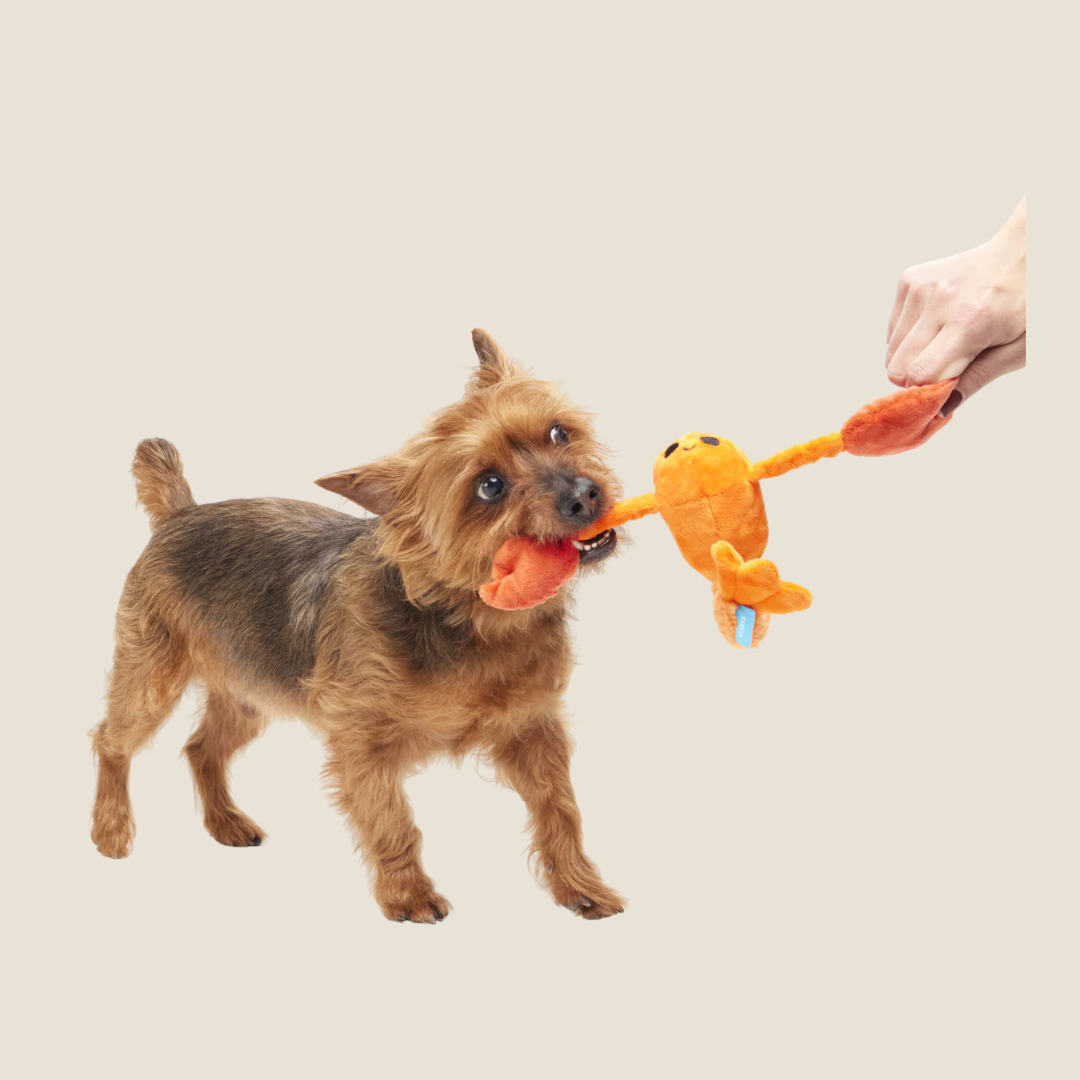 Premium Della Crawfish Dog Treats - All-Natural, Grain-Free Chews for Dogs - Perfect for Training, Rewards & Dental Health - Made in USA