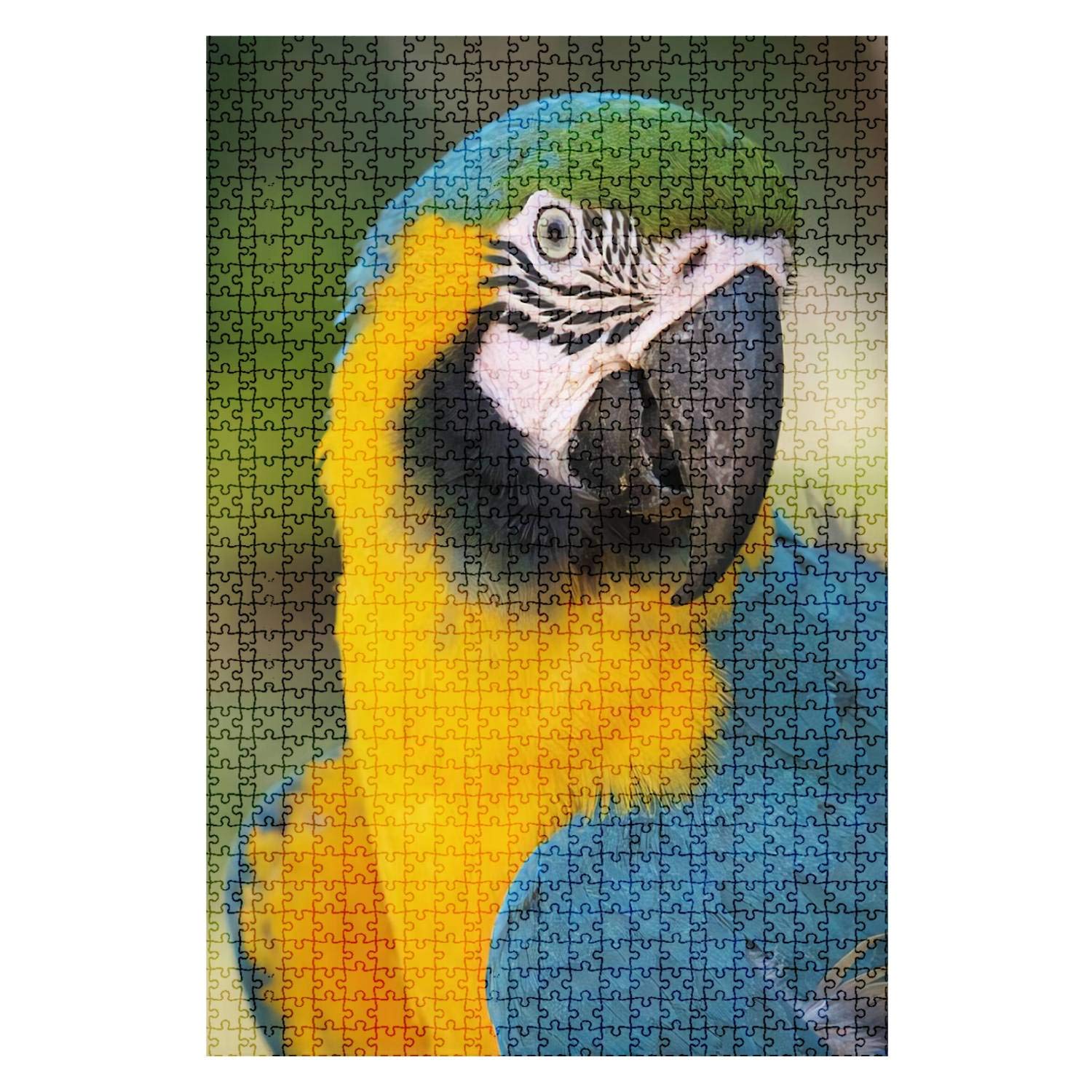 1000-Piece Wooden Jigsaw Puzzle - Blue and Yellow Macaw Parrot Art - Challenging Adult Puzzle for Home Decor & Gifts - Fun DIY Educational Game Toy for Kids & Adults - Perfect for Family Game Nights & Stress Relief