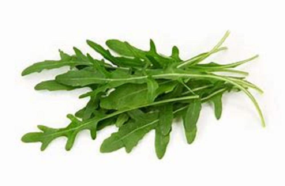 Organic Arugula Roquette Greens Heirloom Seeds - 500 Count - Crisp, Nutty Flavor for Salads, Pizzas, and Gourmet Dishes