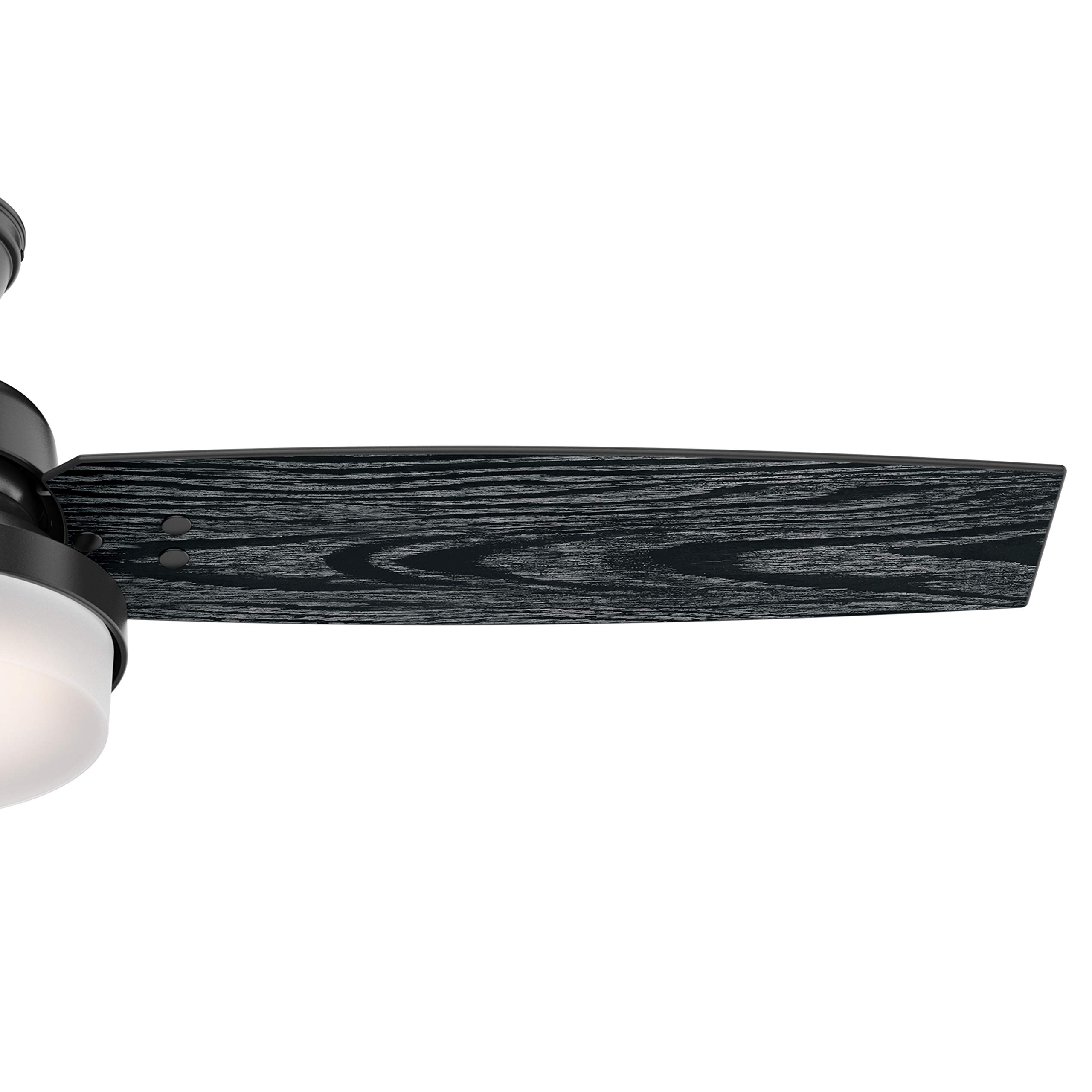 Hunter Fan 52 Inch Matte Black Ceiling Fan with Light Kit & Remote Control - Indoor Cooling for Bedroom, Living Room, Office (Renewed)