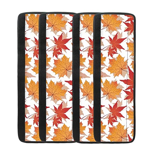 Autumn Maple Leaves
