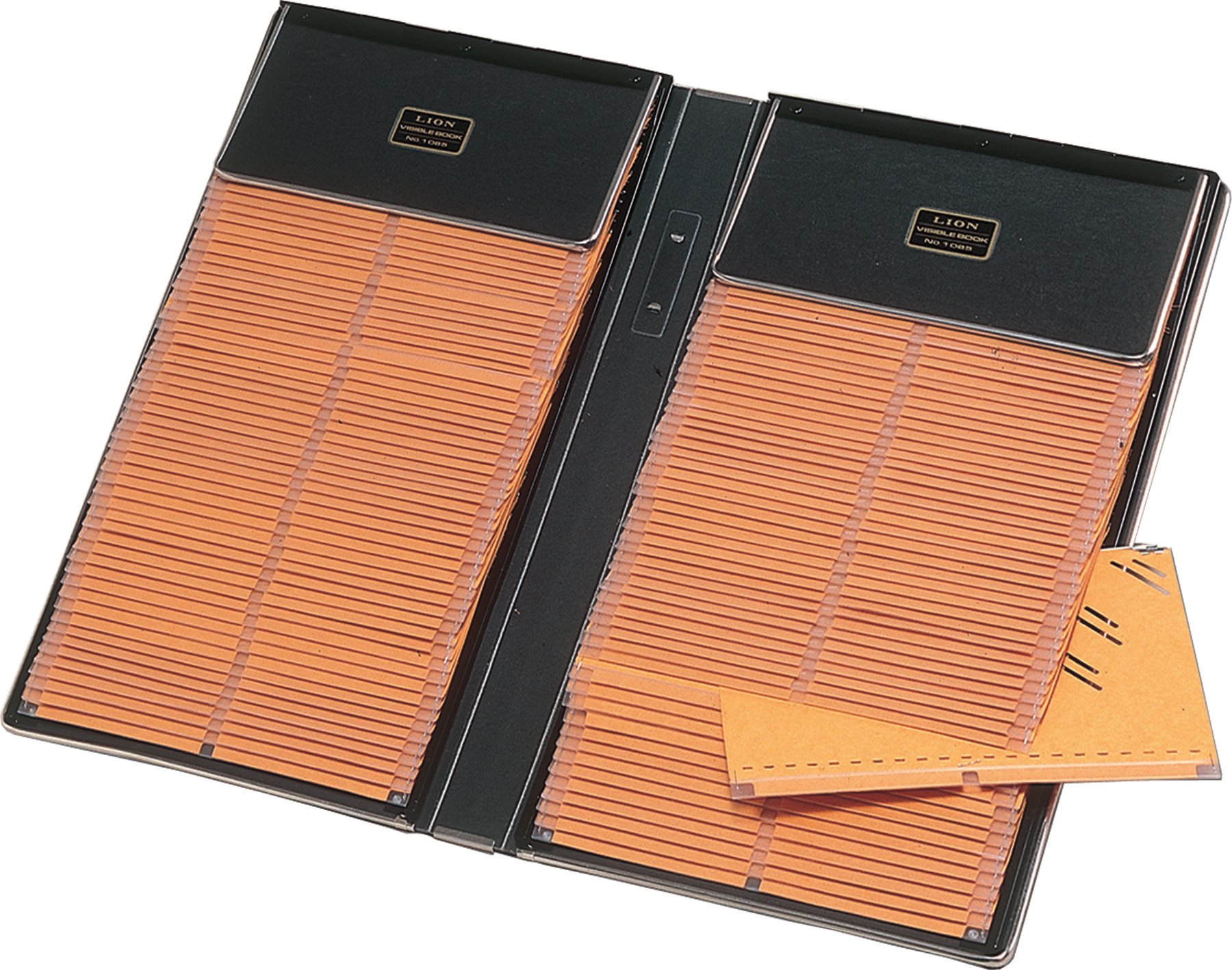Lion Visible Record Book - Removable 100-Pocket Organizer with Clear View | Perfect for Office Filing, School Projects, Home Organization & Document Storage (1085)
